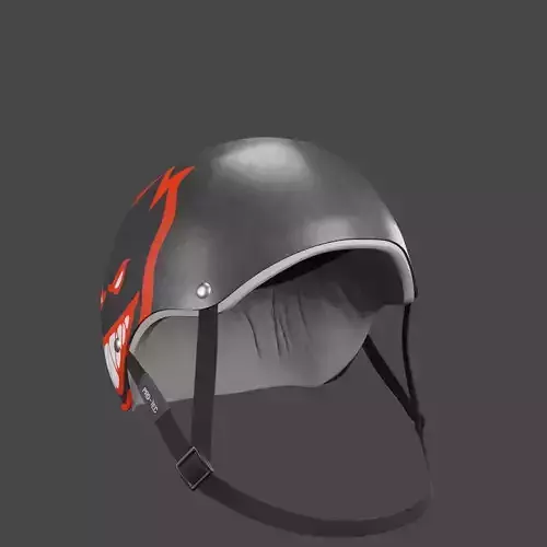 Pro-tec Helmet