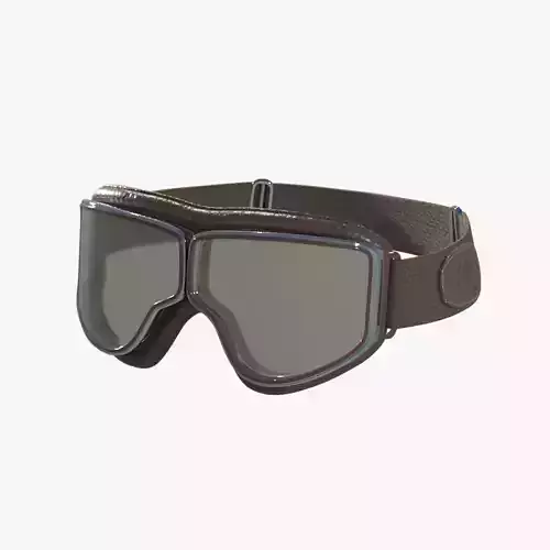 Pilot Goggles