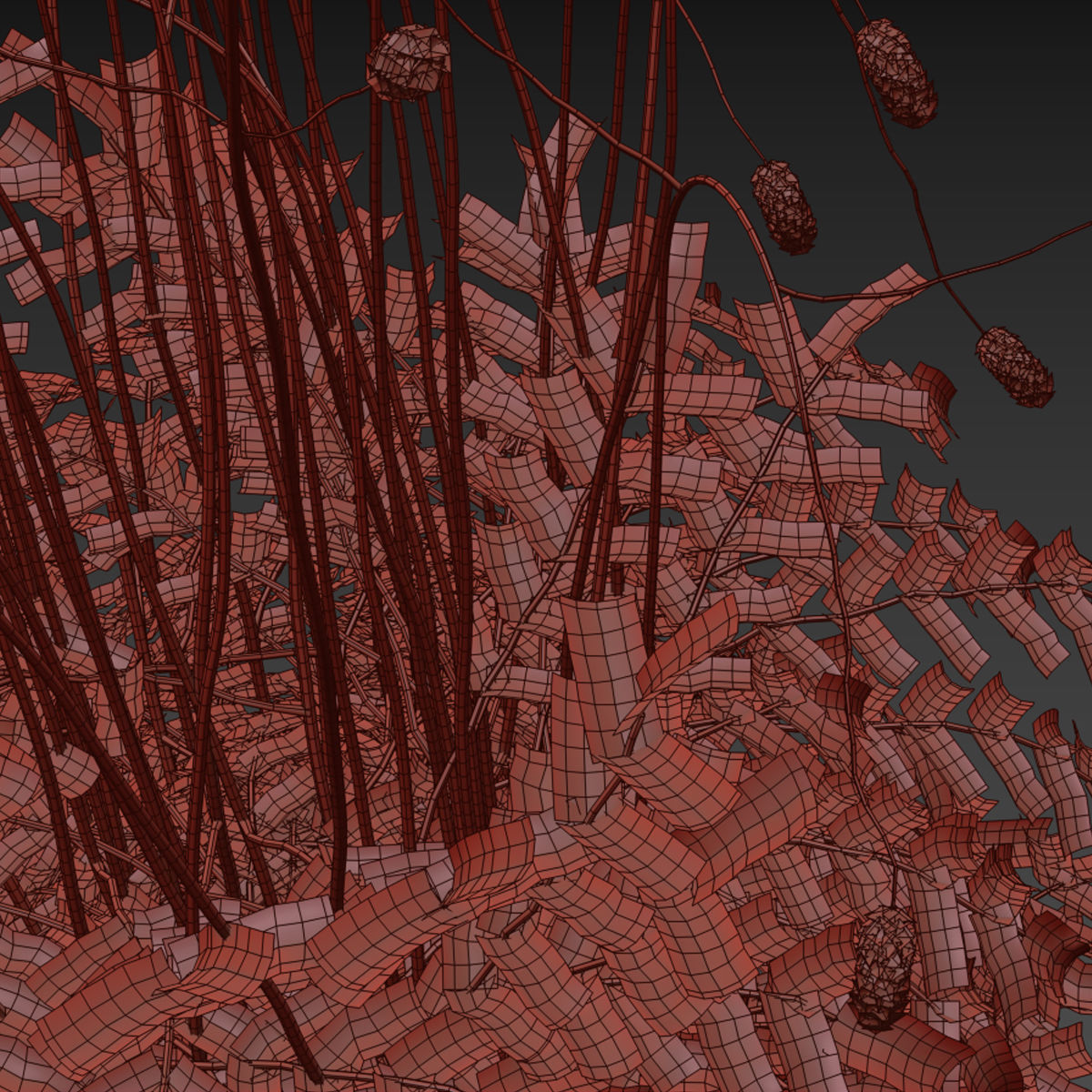 Sanguisorba officinalis flower 3D model_4