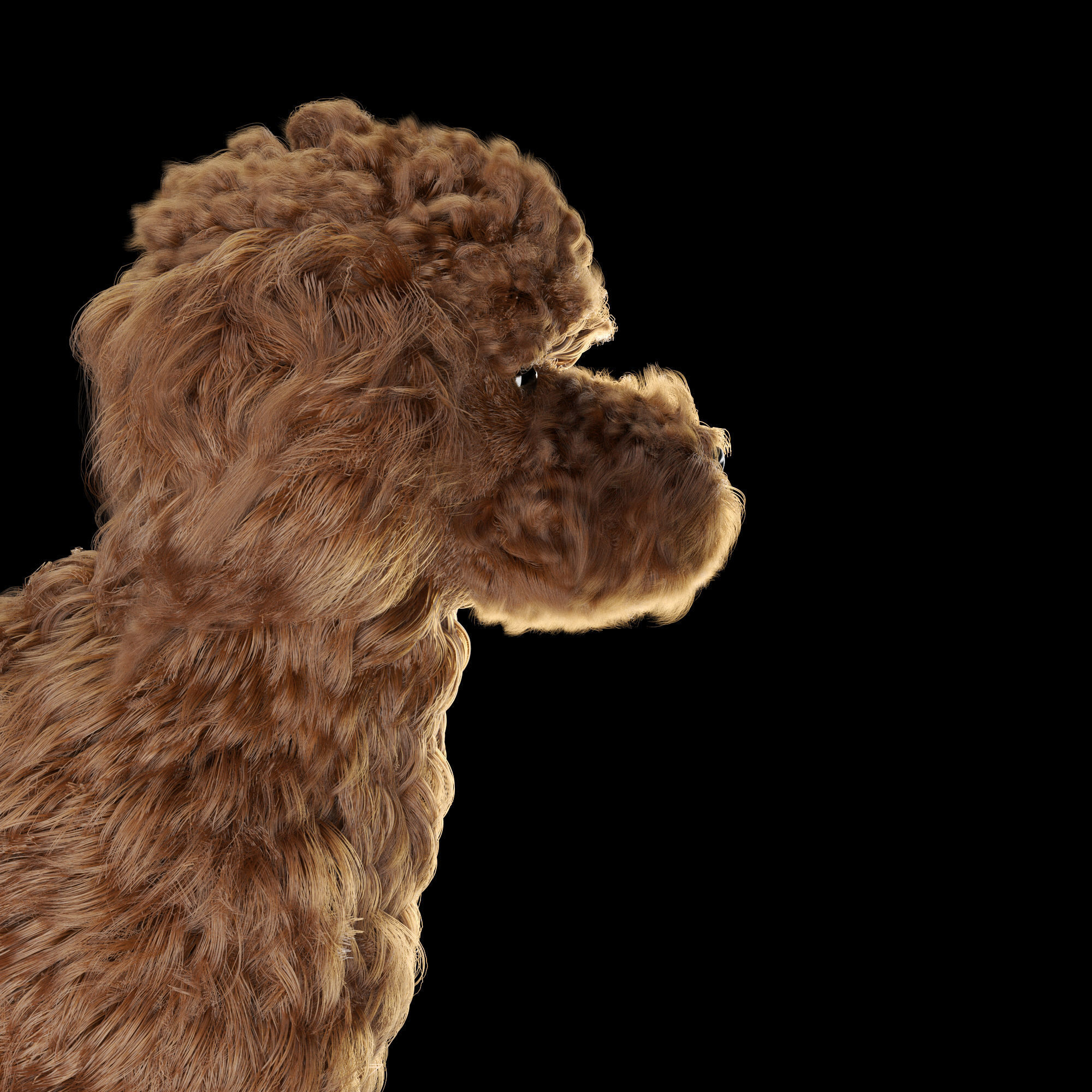 Poodle dog puppy 3D model_10