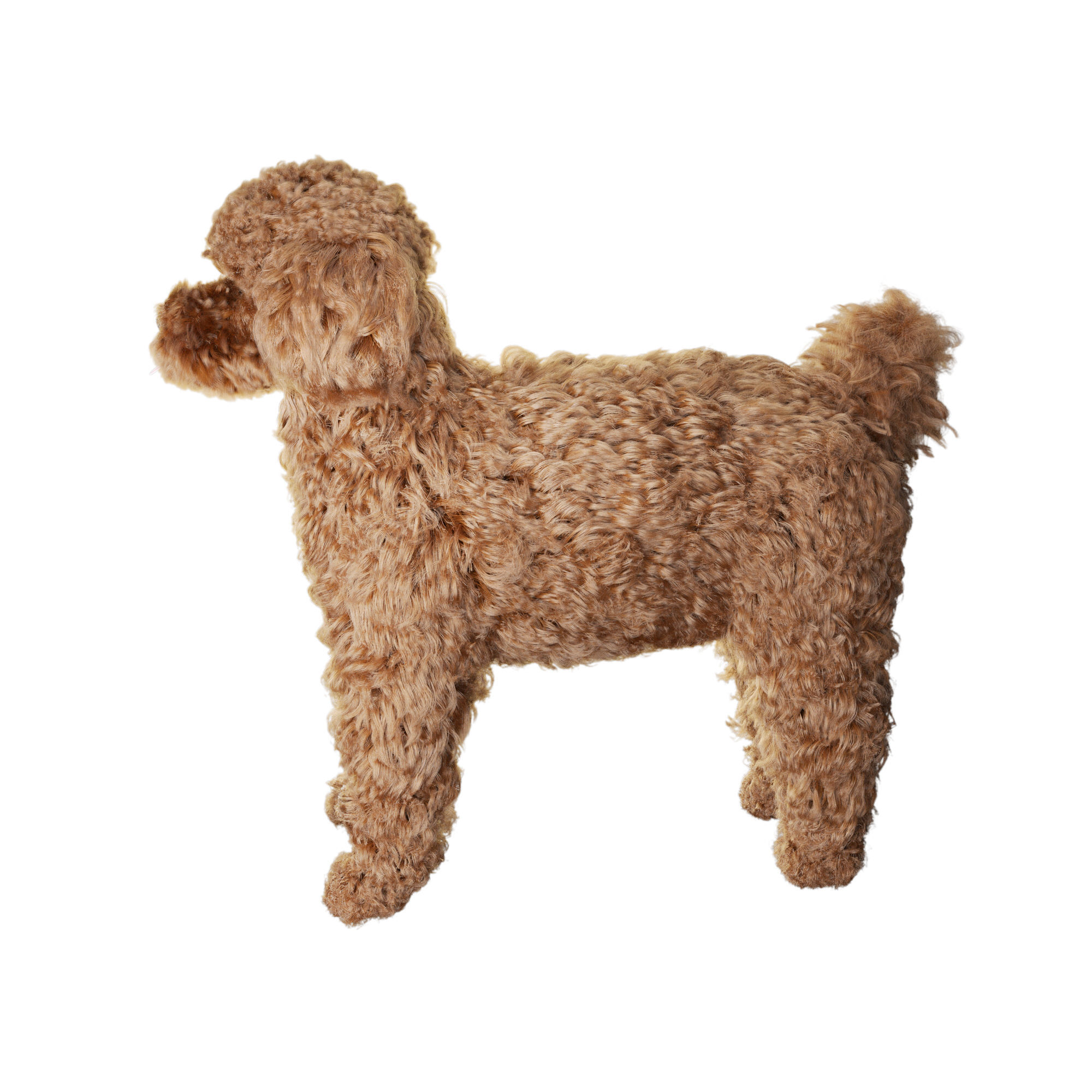 Poodle dog puppy 3D model_4
