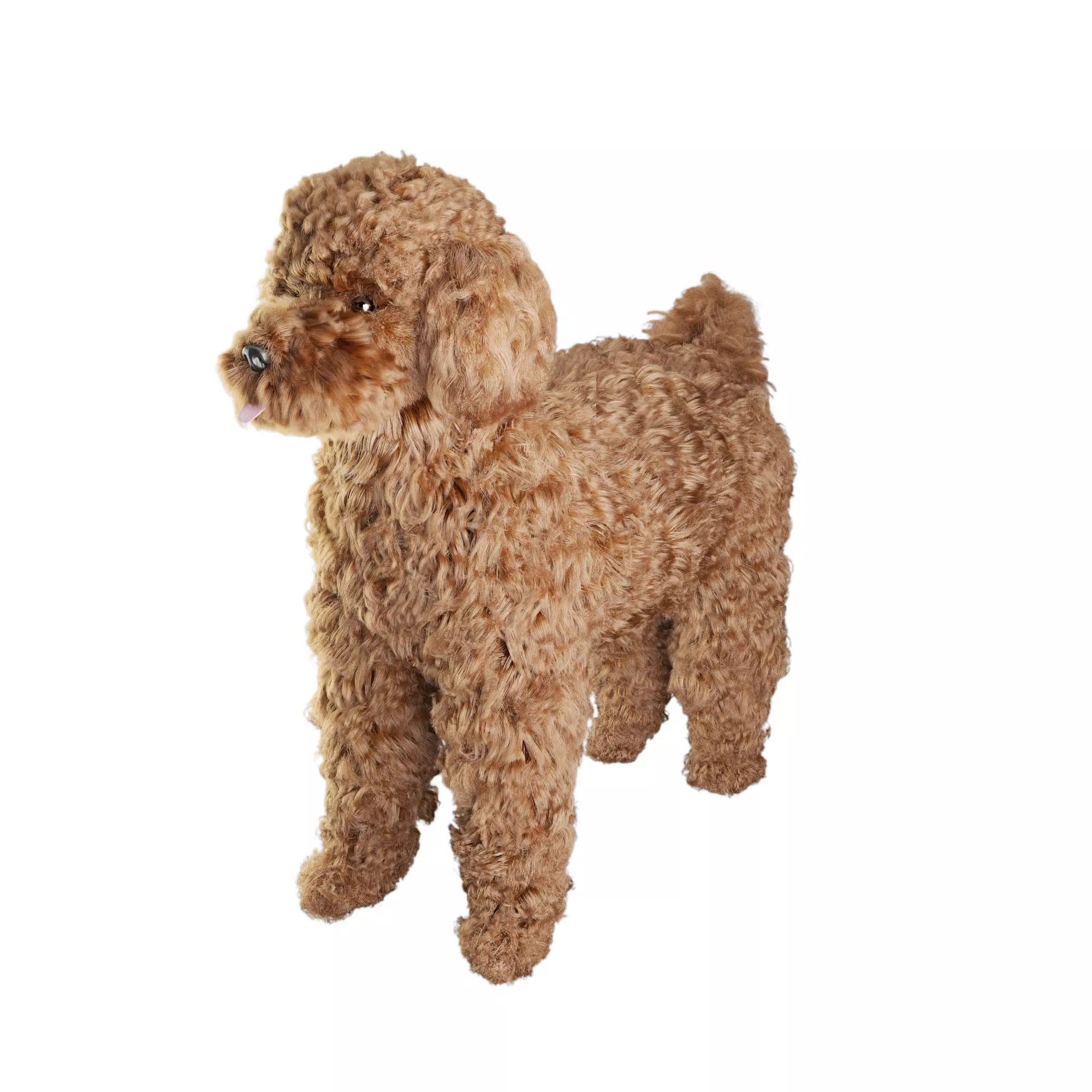 Poodle dog puppy 3D model_0