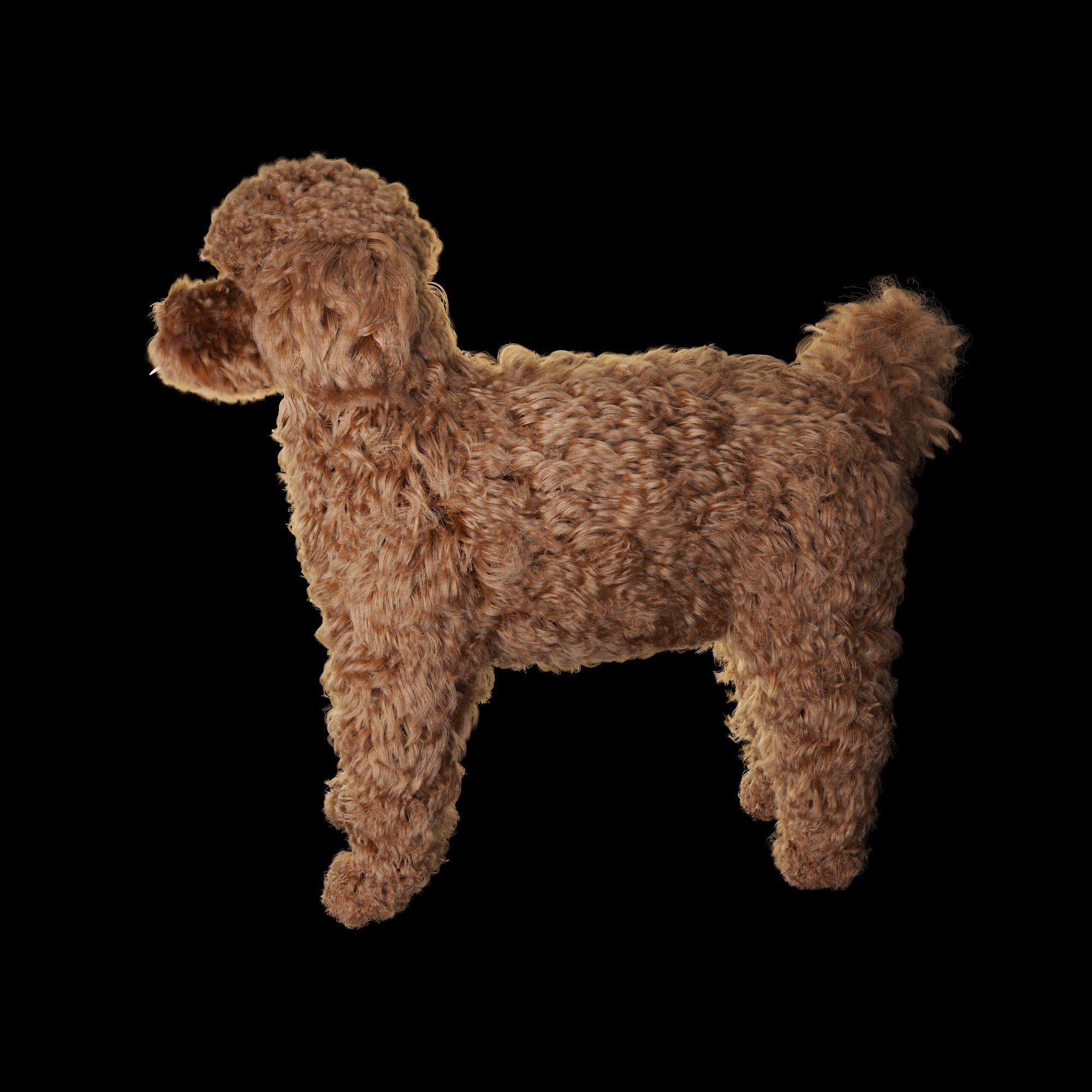 Poodle dog puppy 3D model_9