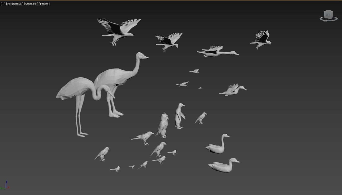 bird collection group of birds 3D model_2
