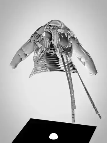 Jacket woman wearing