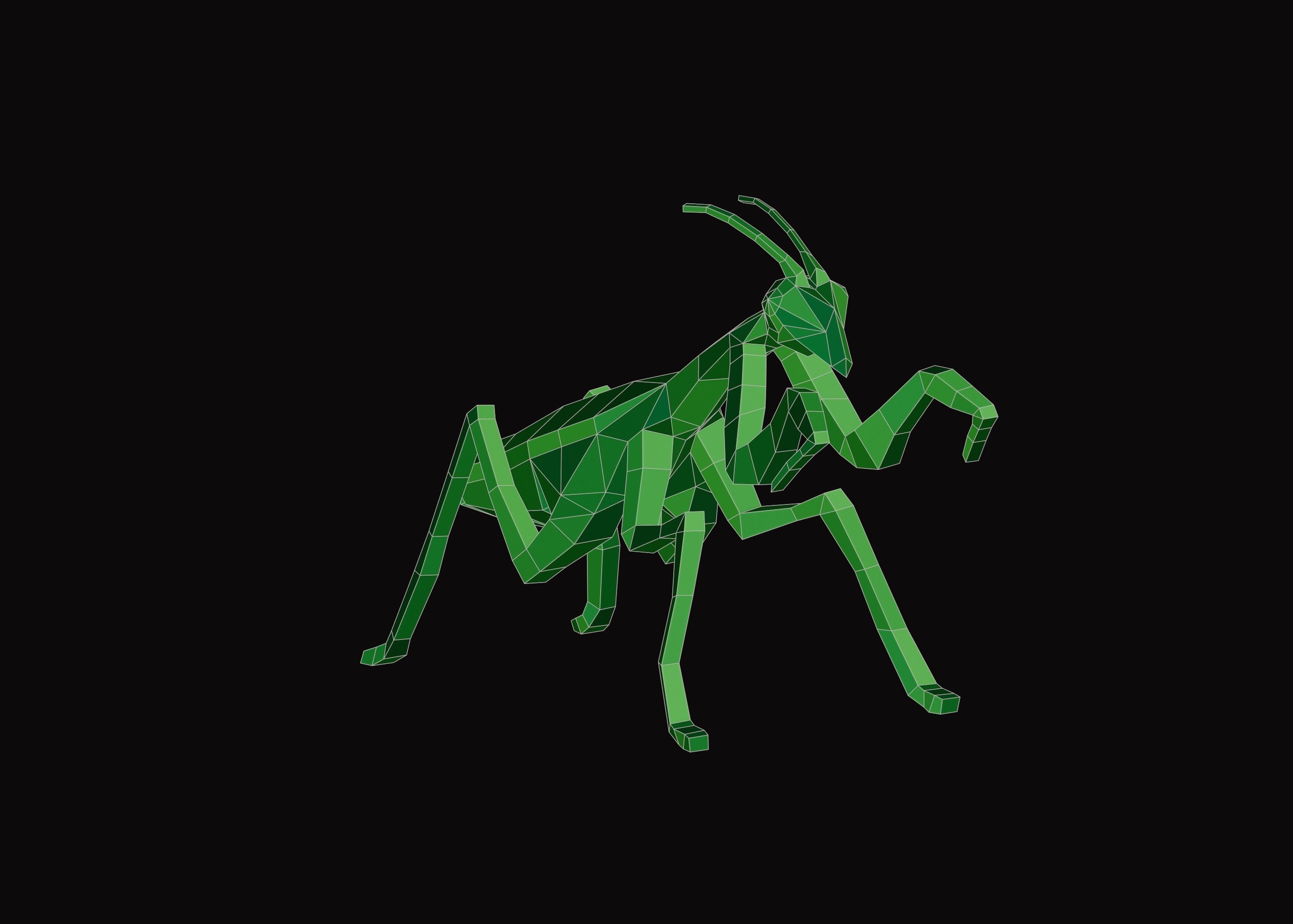Polygonal Praying Mantis Low-poly 3D model_4