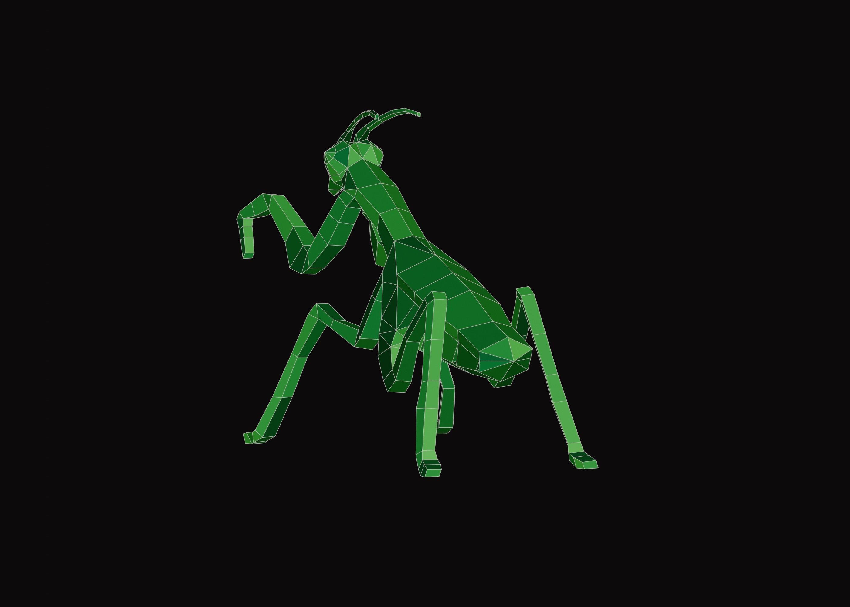 Polygonal Praying Mantis Low-poly 3D model_10