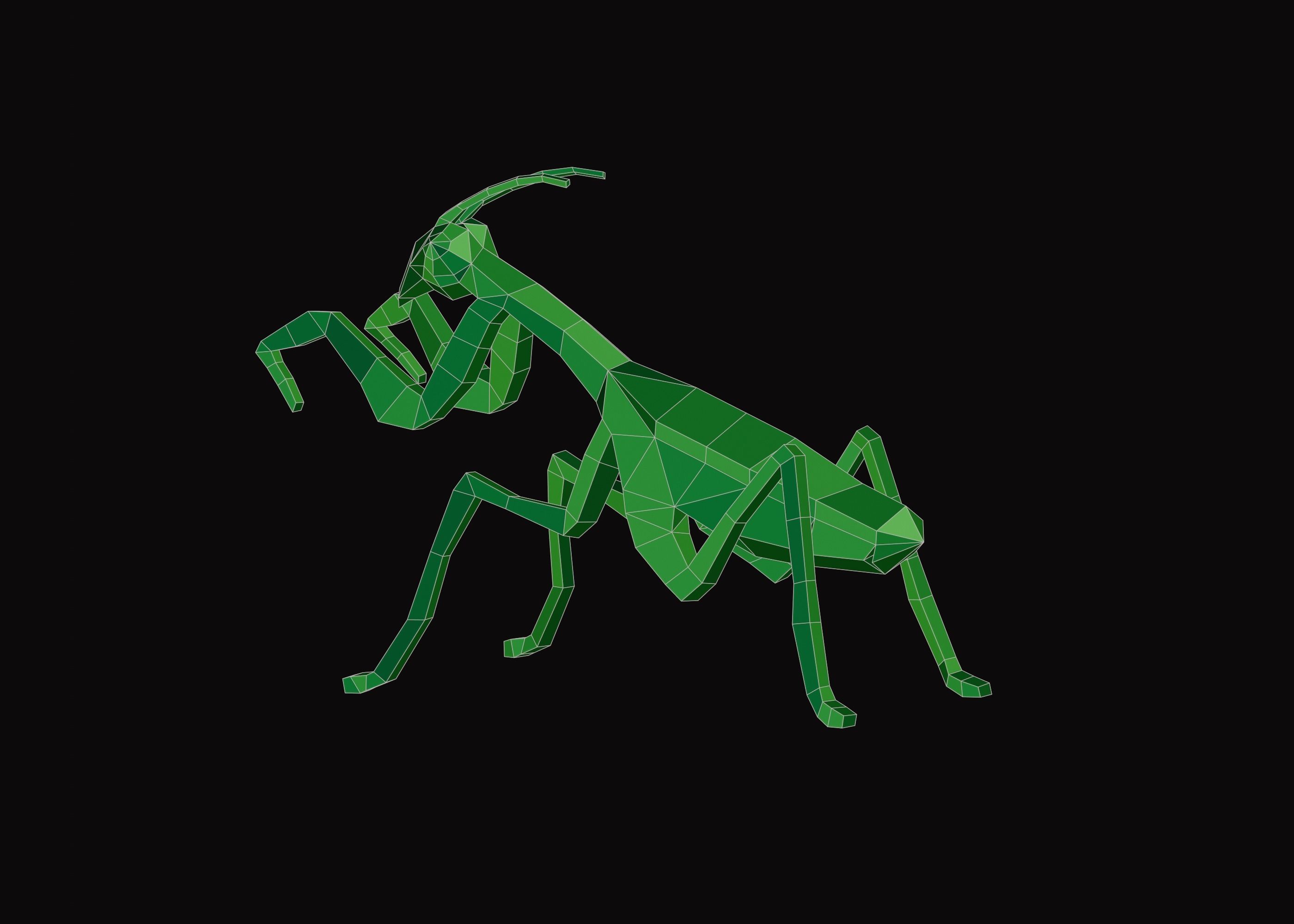 Polygonal Praying Mantis Low-poly 3D model_11