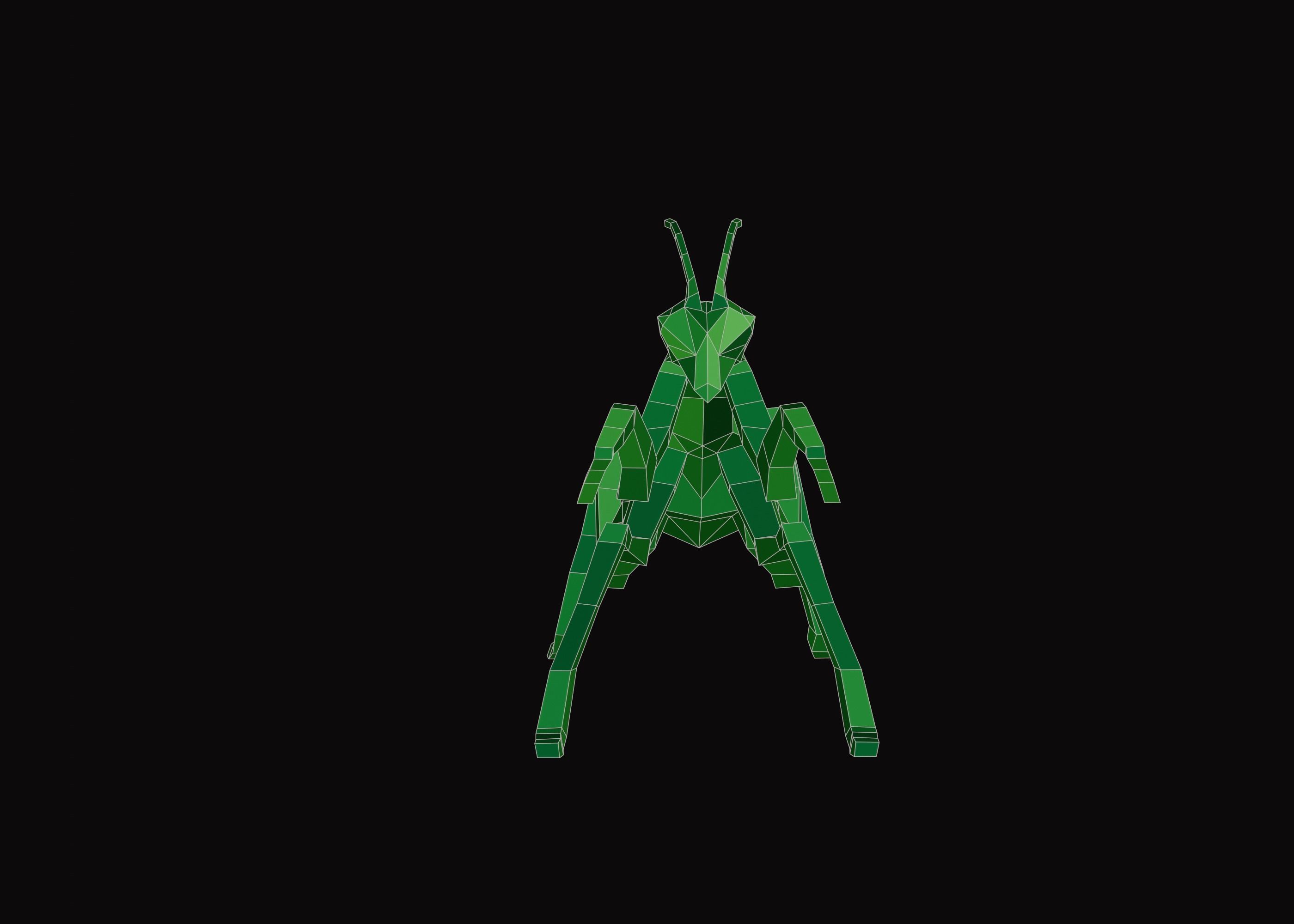 Polygonal Praying Mantis Low-poly 3D model_3