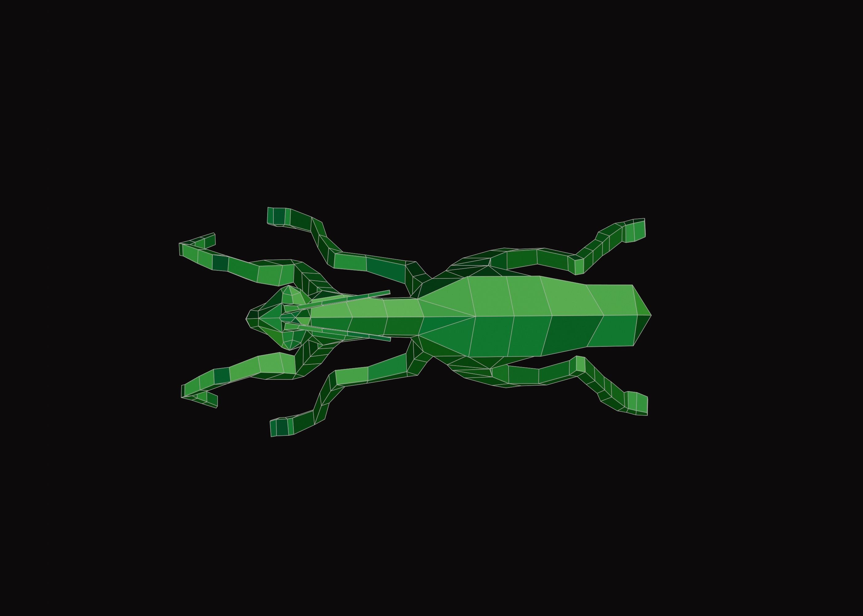 Polygonal Praying Mantis Low-poly 3D model_12