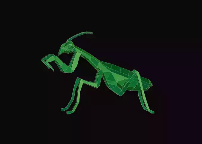 Polygonal Praying Mantis