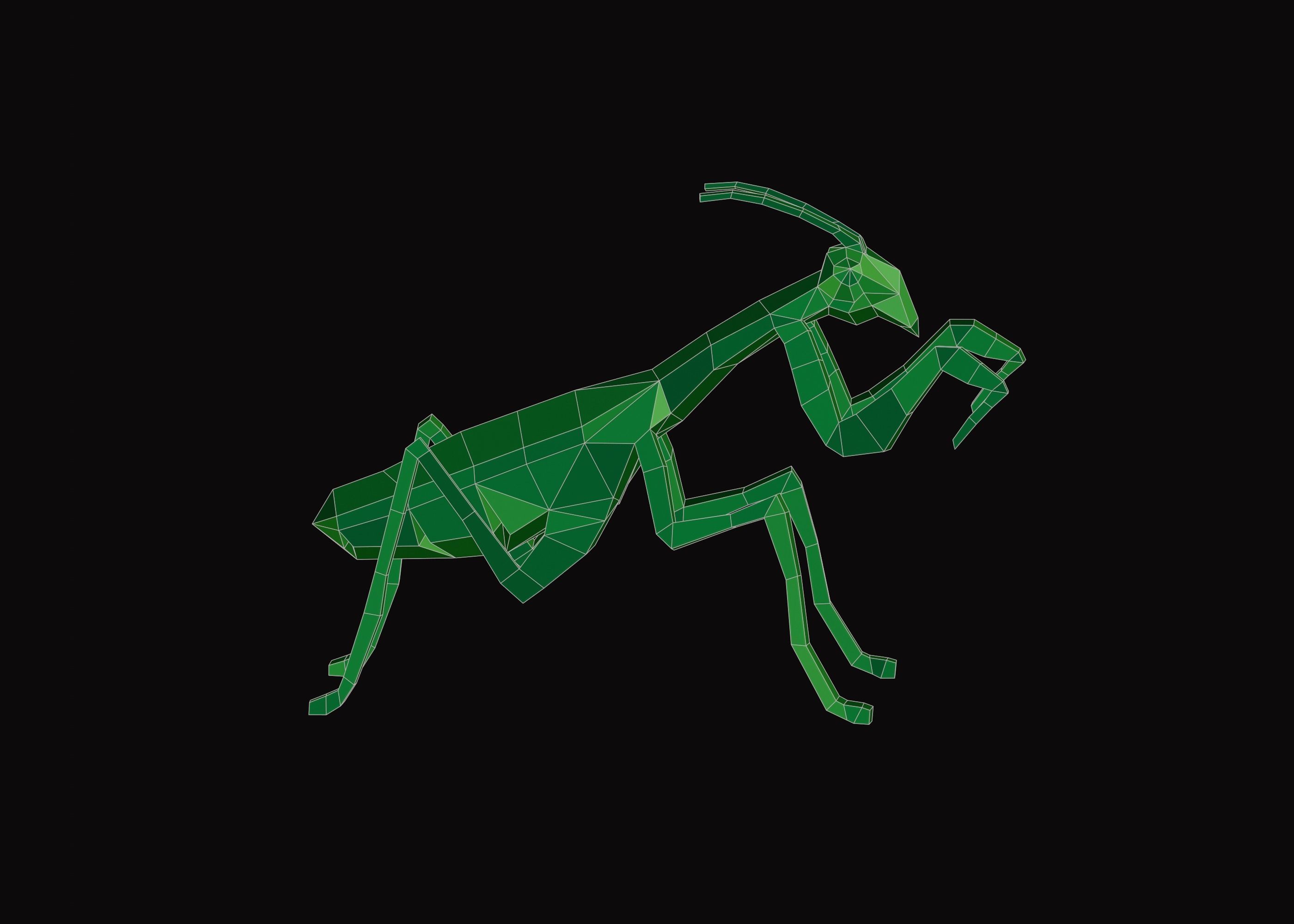 Polygonal Praying Mantis Low-poly 3D model_6