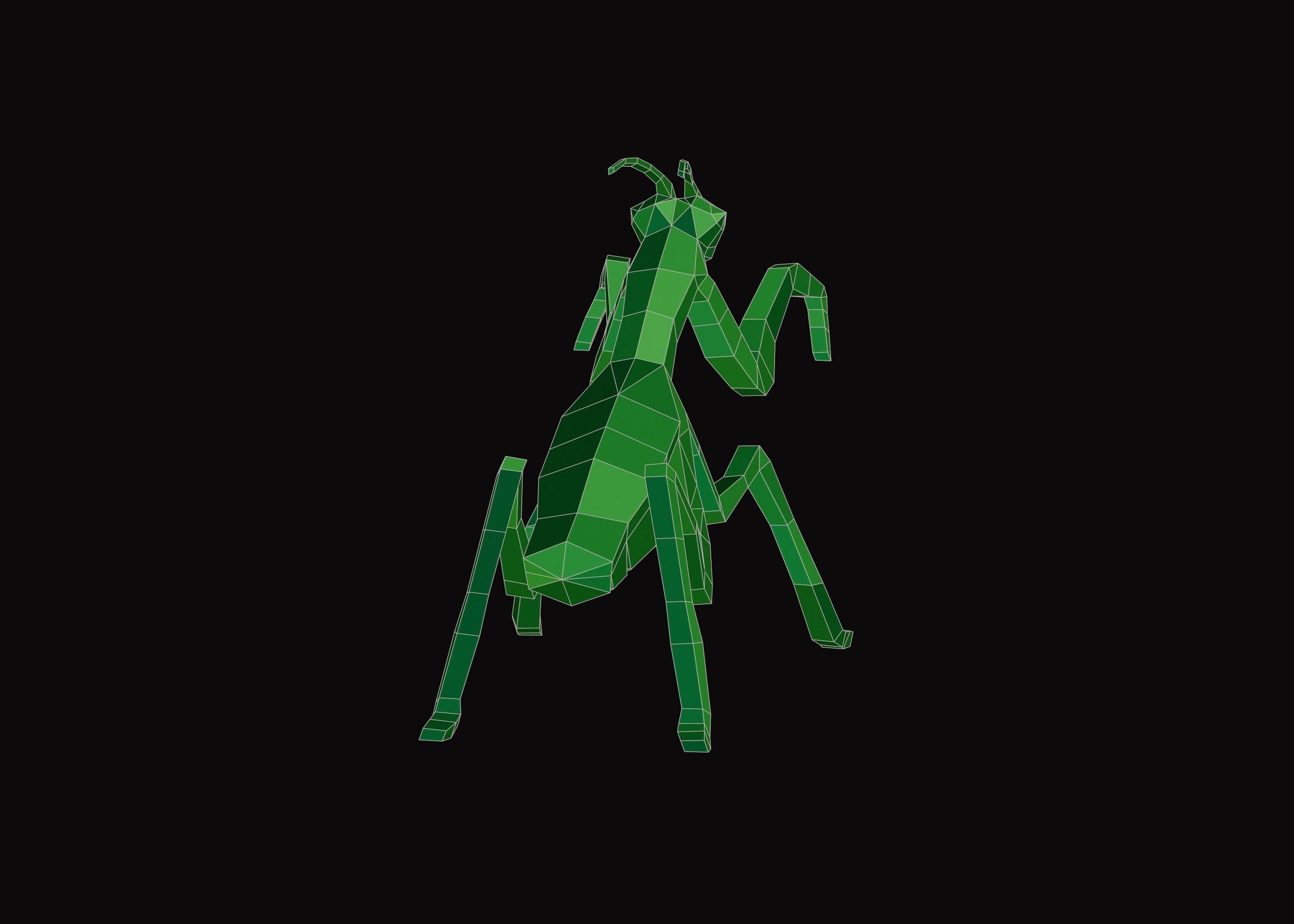 Polygonal Praying Mantis Low-poly 3D model_8