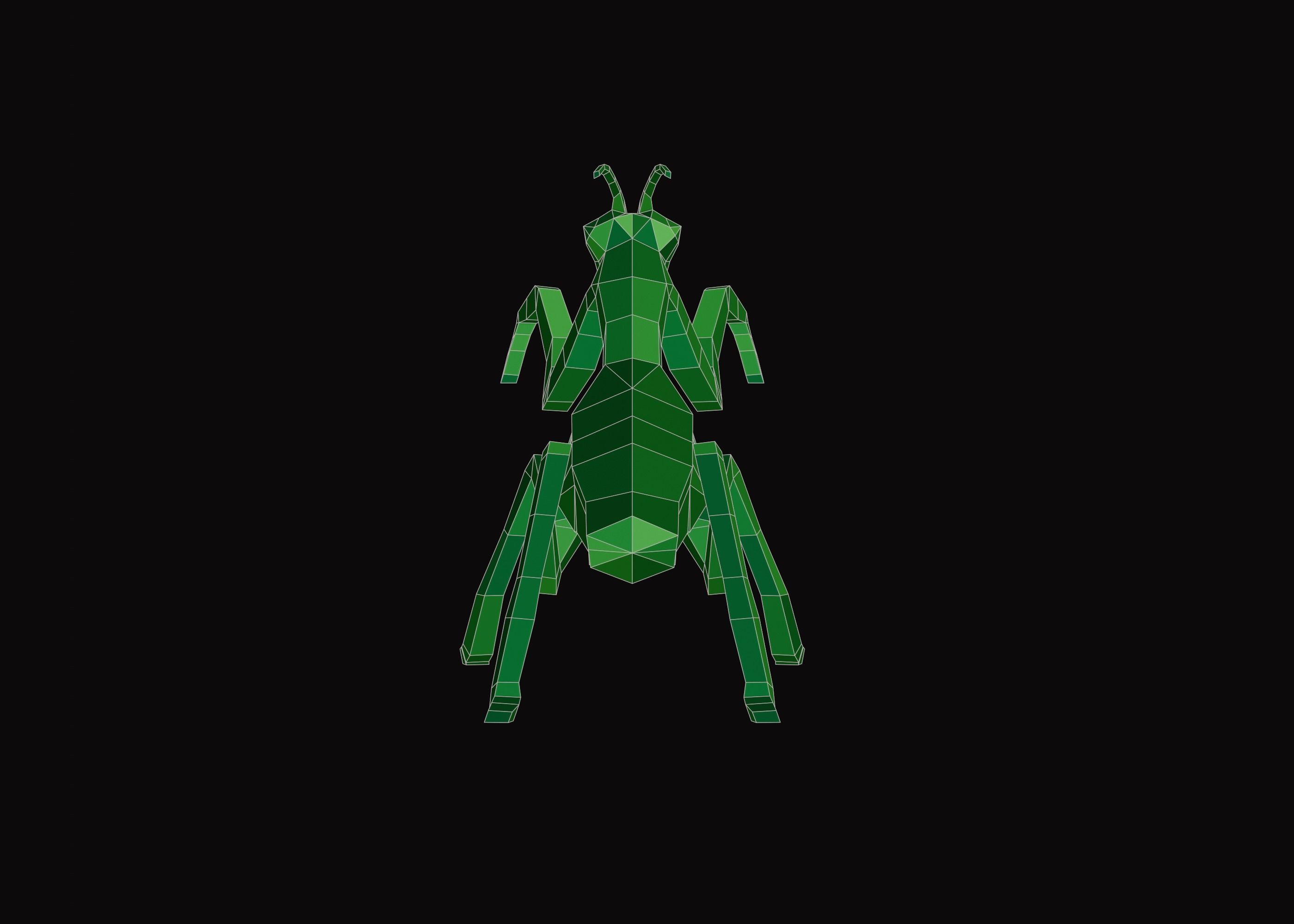 Polygonal Praying Mantis Low-poly 3D model_9