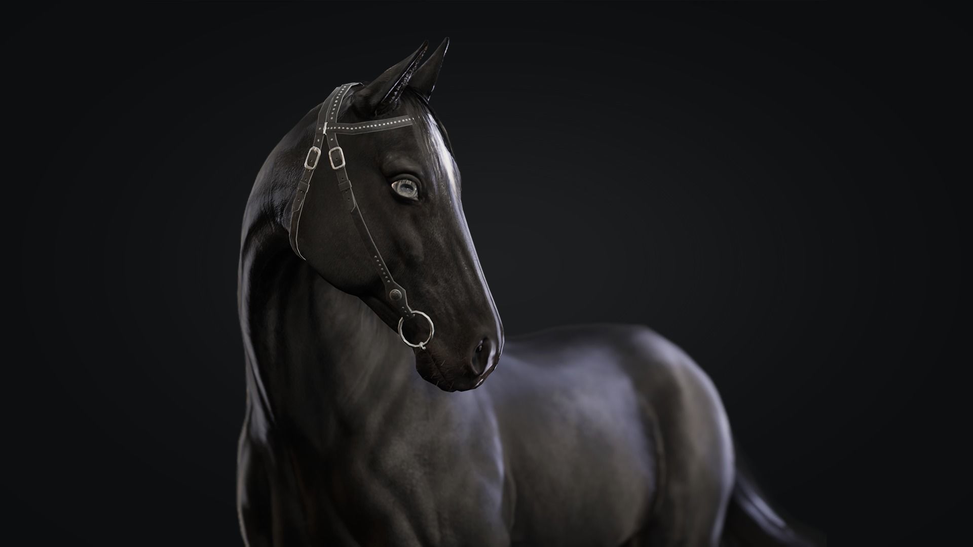 Horse Herd - Low poly animated game-ready Horse and  control rig Low-poly 3D model_21