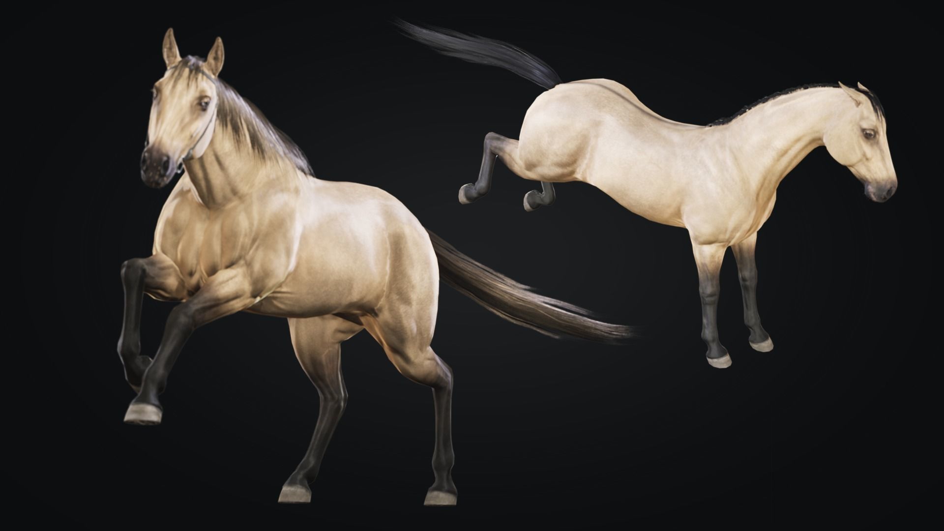 Horse Herd - Low poly animated game-ready Horse and  control rig Low-poly 3D model_24