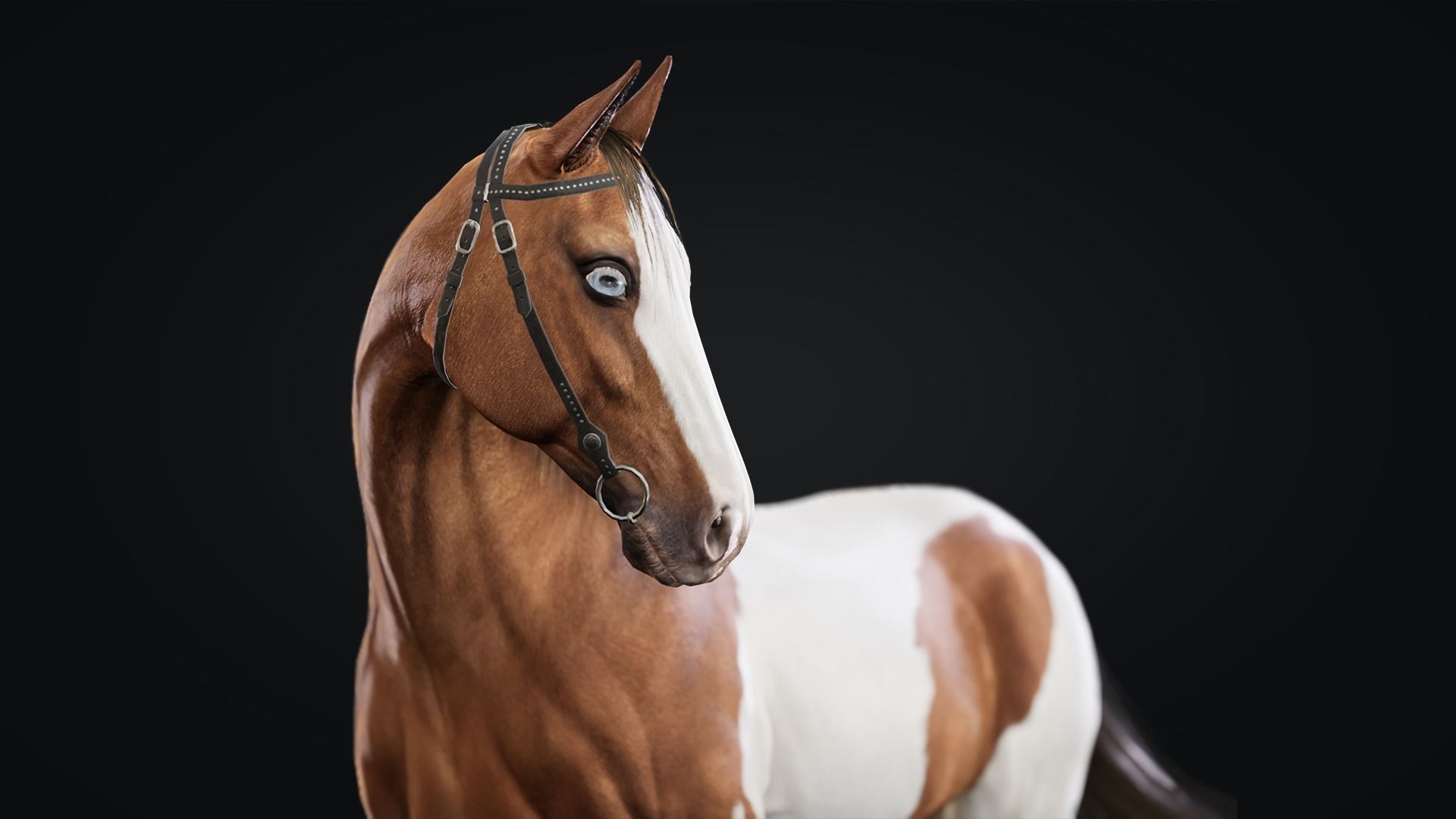 Horse Herd - Low poly animated game-ready Horse and  control rig Low-poly 3D model_20