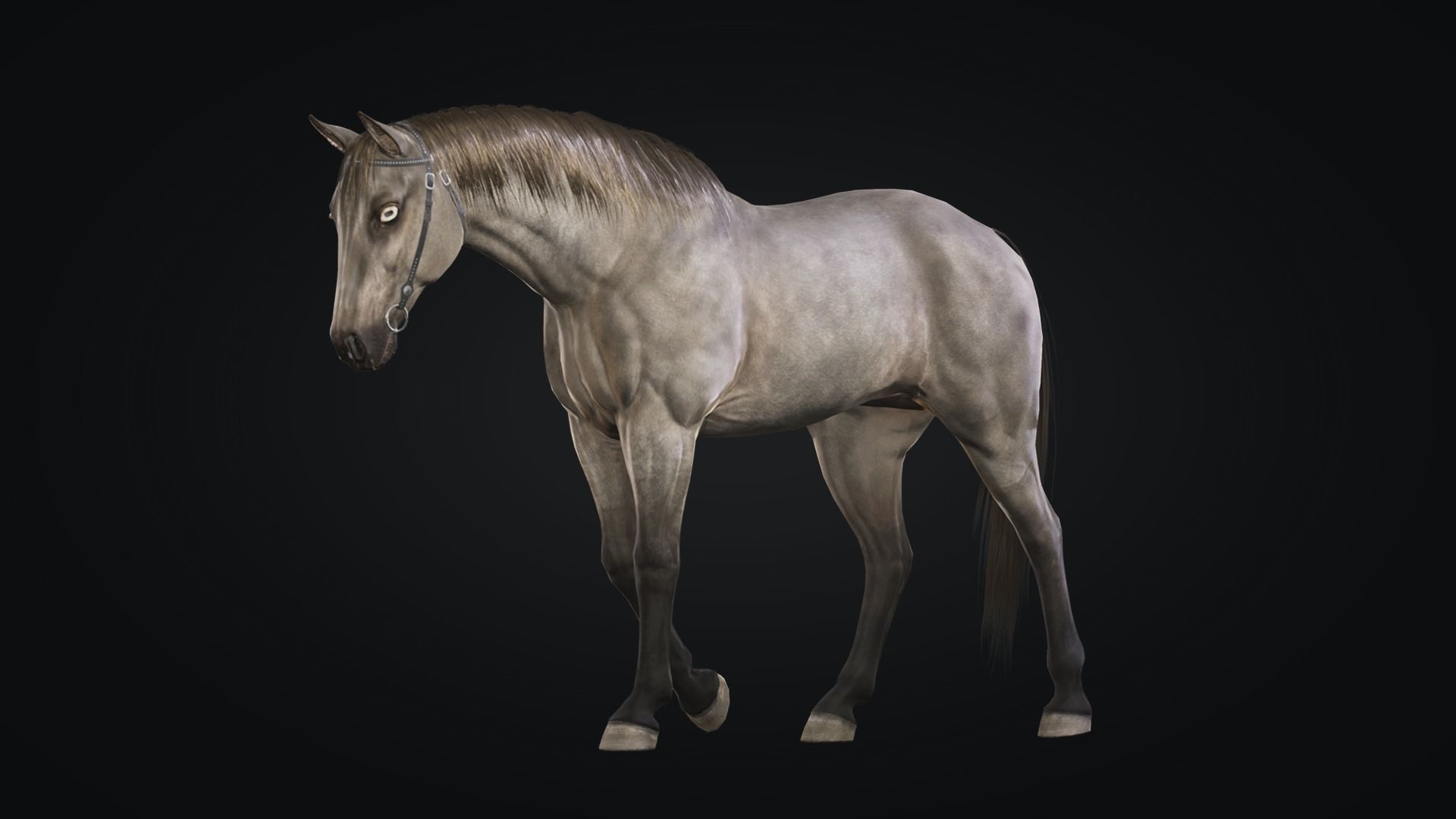 Horse Herd - Low poly animated game-ready Horse and  control rig Low-poly 3D model_13