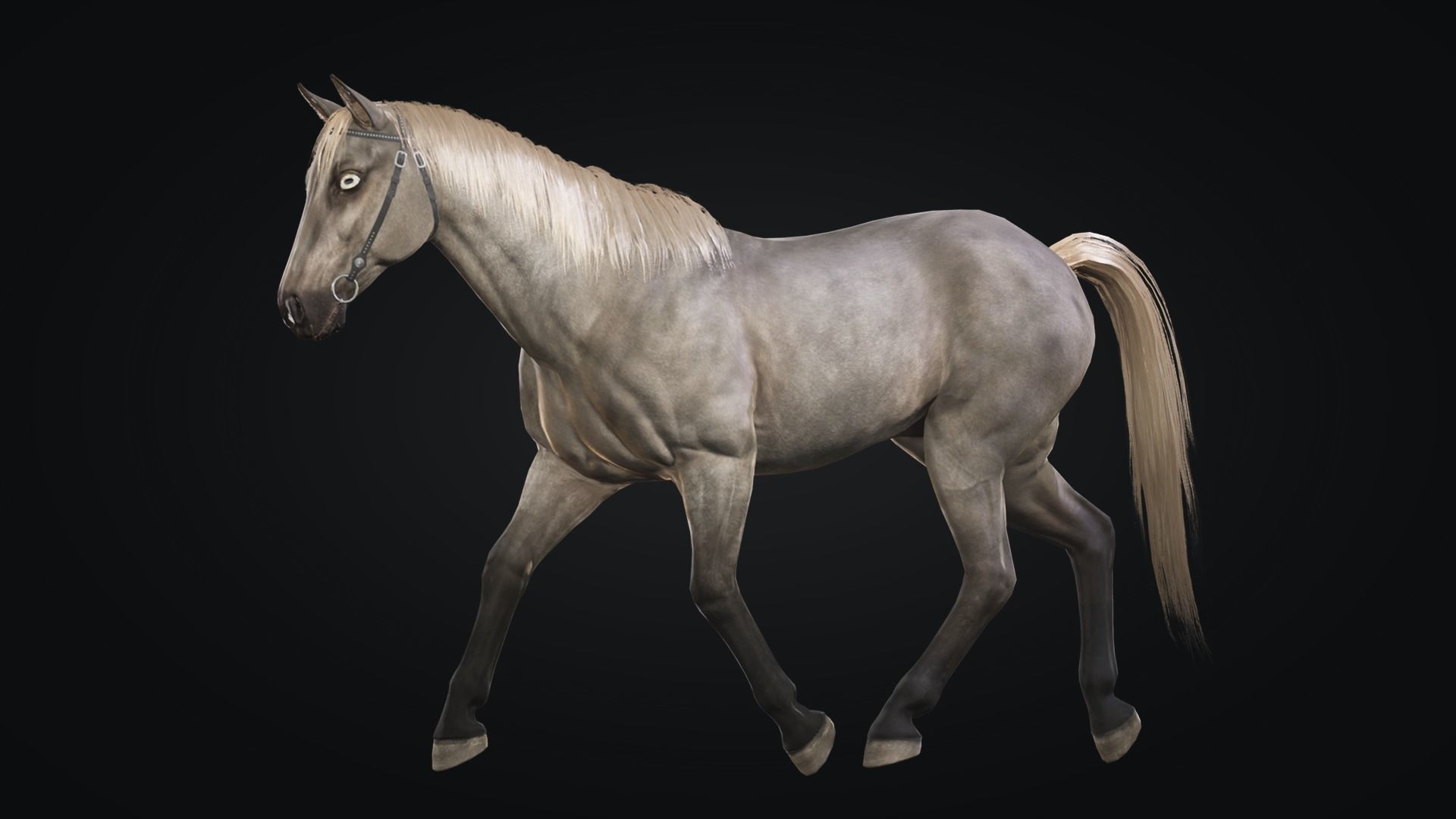 Horse Herd - Low poly animated game-ready Horse and  control rig Low-poly 3D model_22