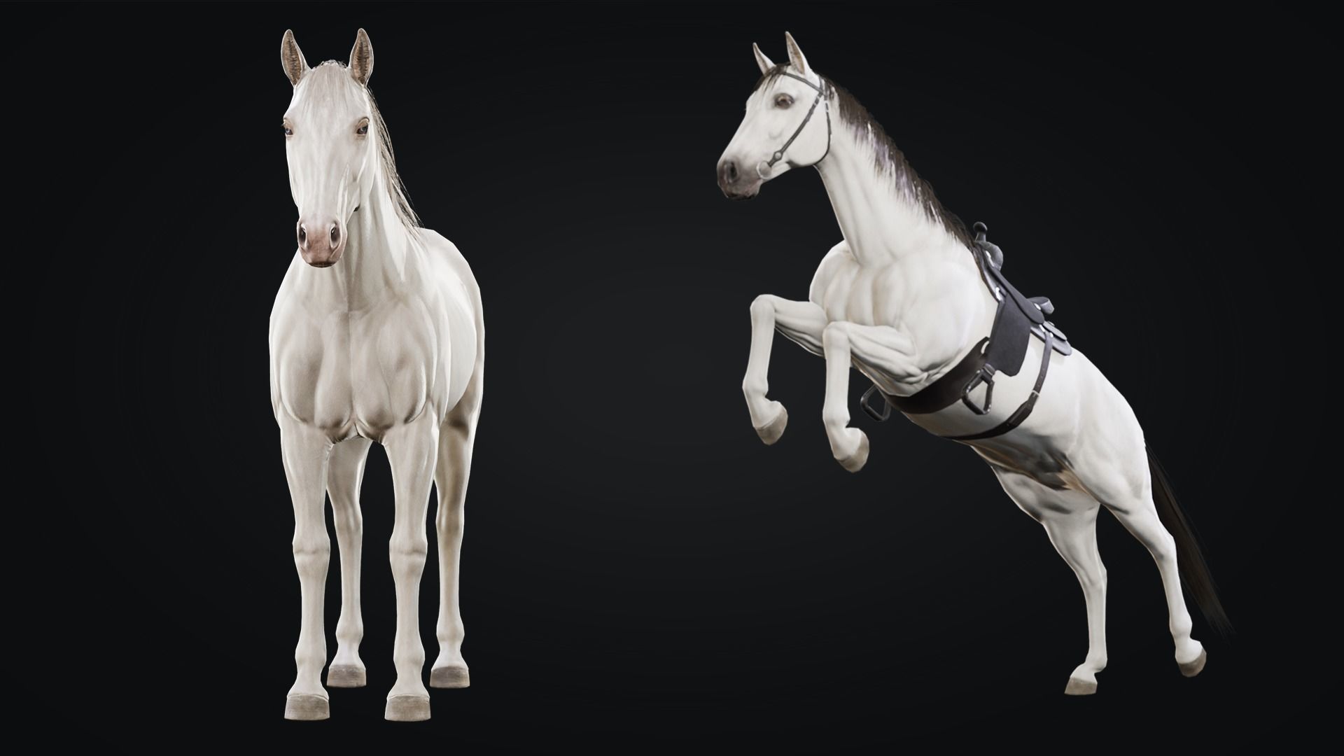 Horse Herd - Low poly animated game-ready Horse and  control rig Low-poly 3D model_23