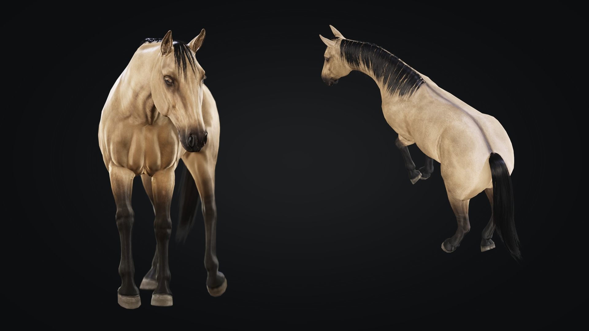 Horse Herd - Low poly animated game-ready Horse and  control rig Low-poly 3D model_25