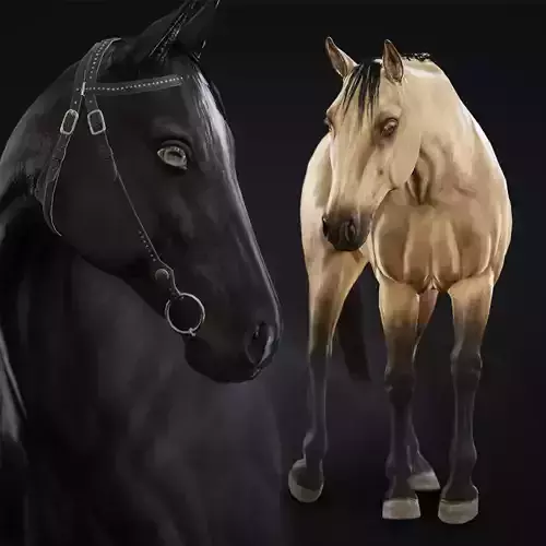 Horse Herd - Low poly animated game-ready Horse and  control rig Low-poly 3D model