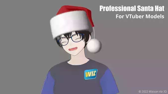 Professional Santa Hat