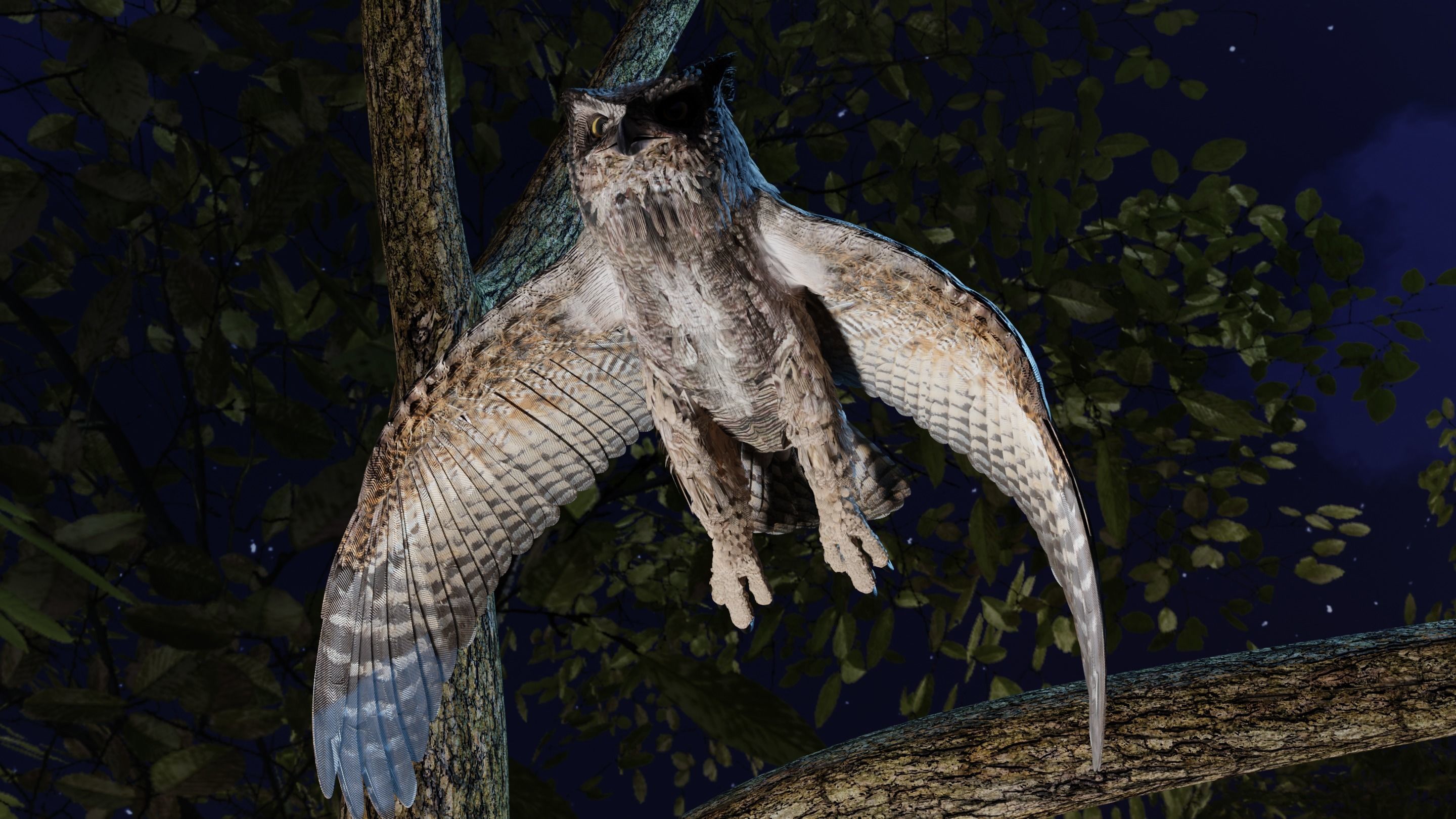 Great Horned Owl - Blender Low-poly 3D model_22