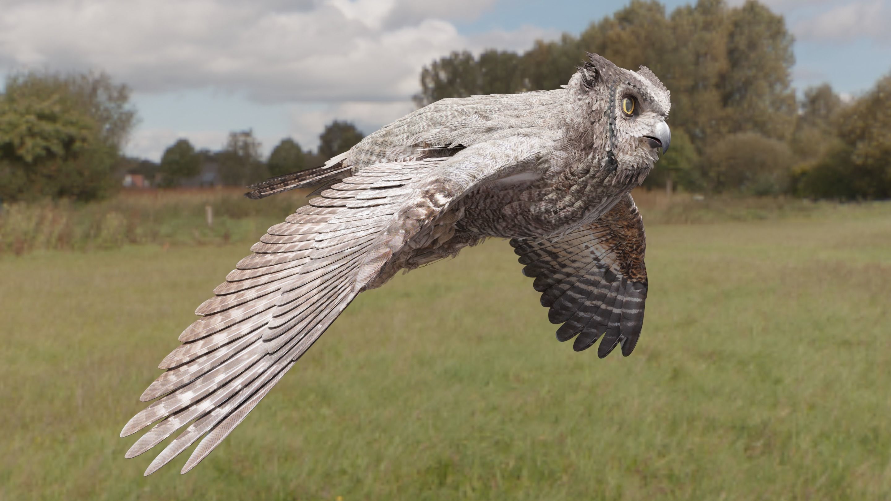 Great Horned Owl - Blender Low-poly 3D model_29