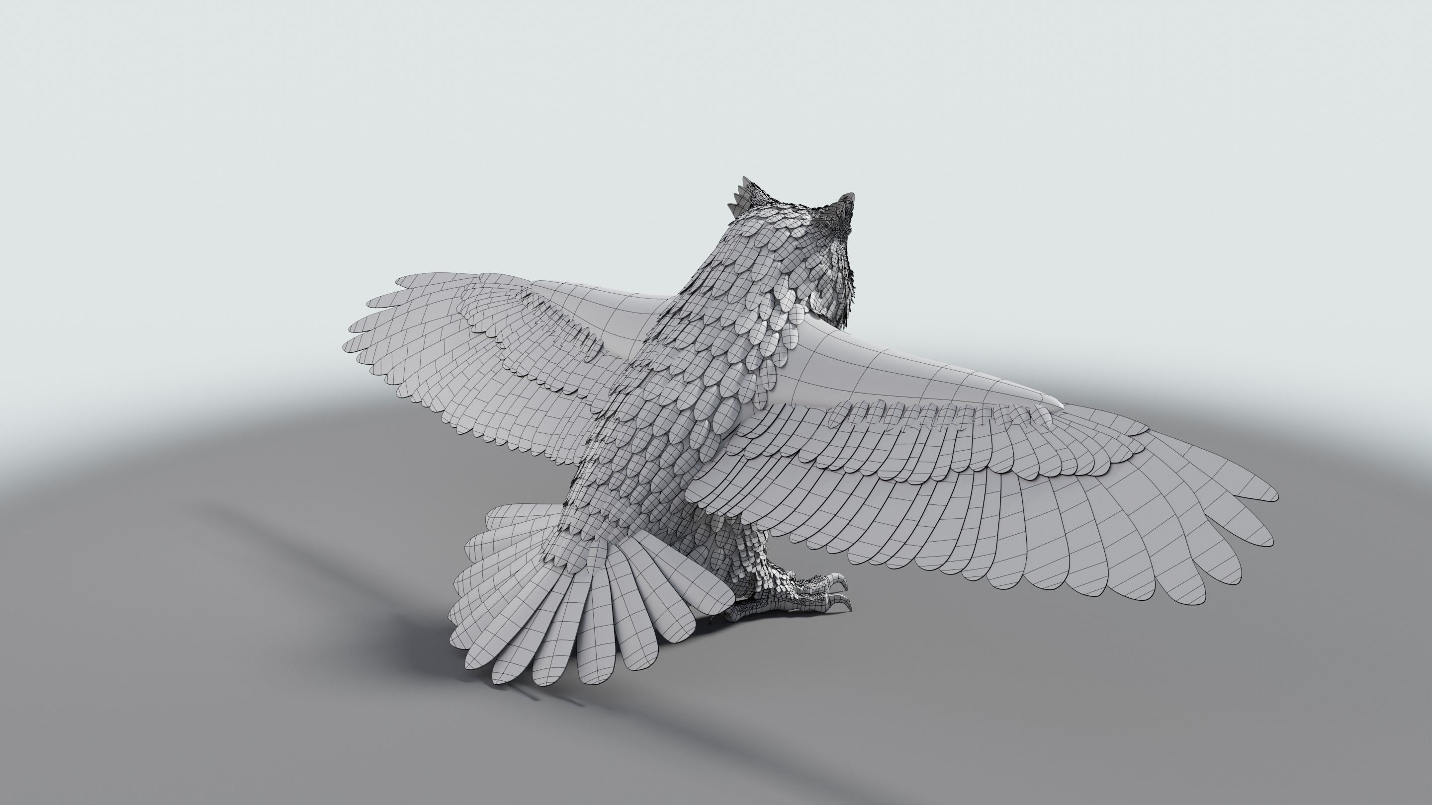 Great Horned Owl - Blender Low-poly 3D model_37