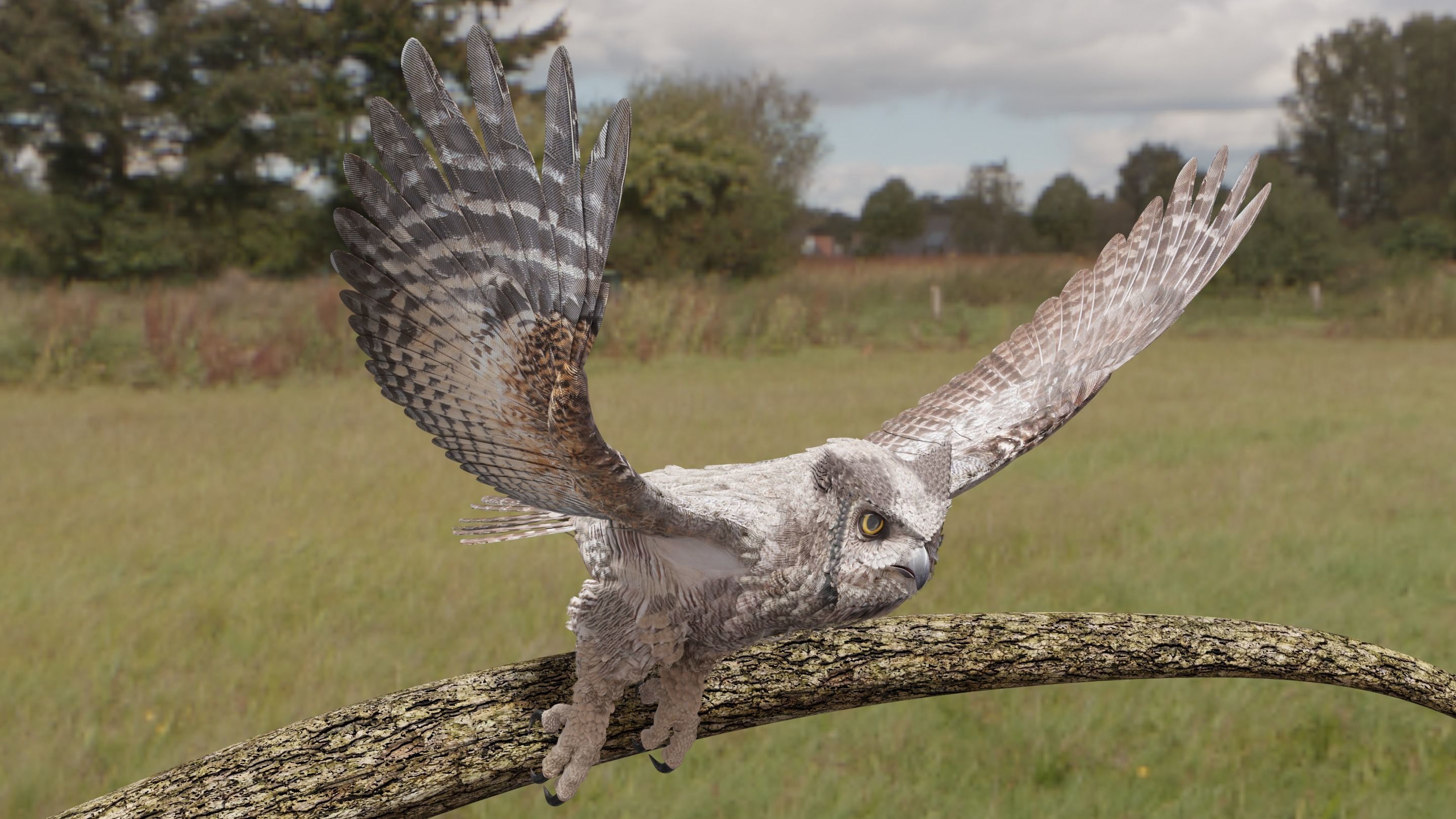 Great Horned Owl - Blender Low-poly 3D model_19