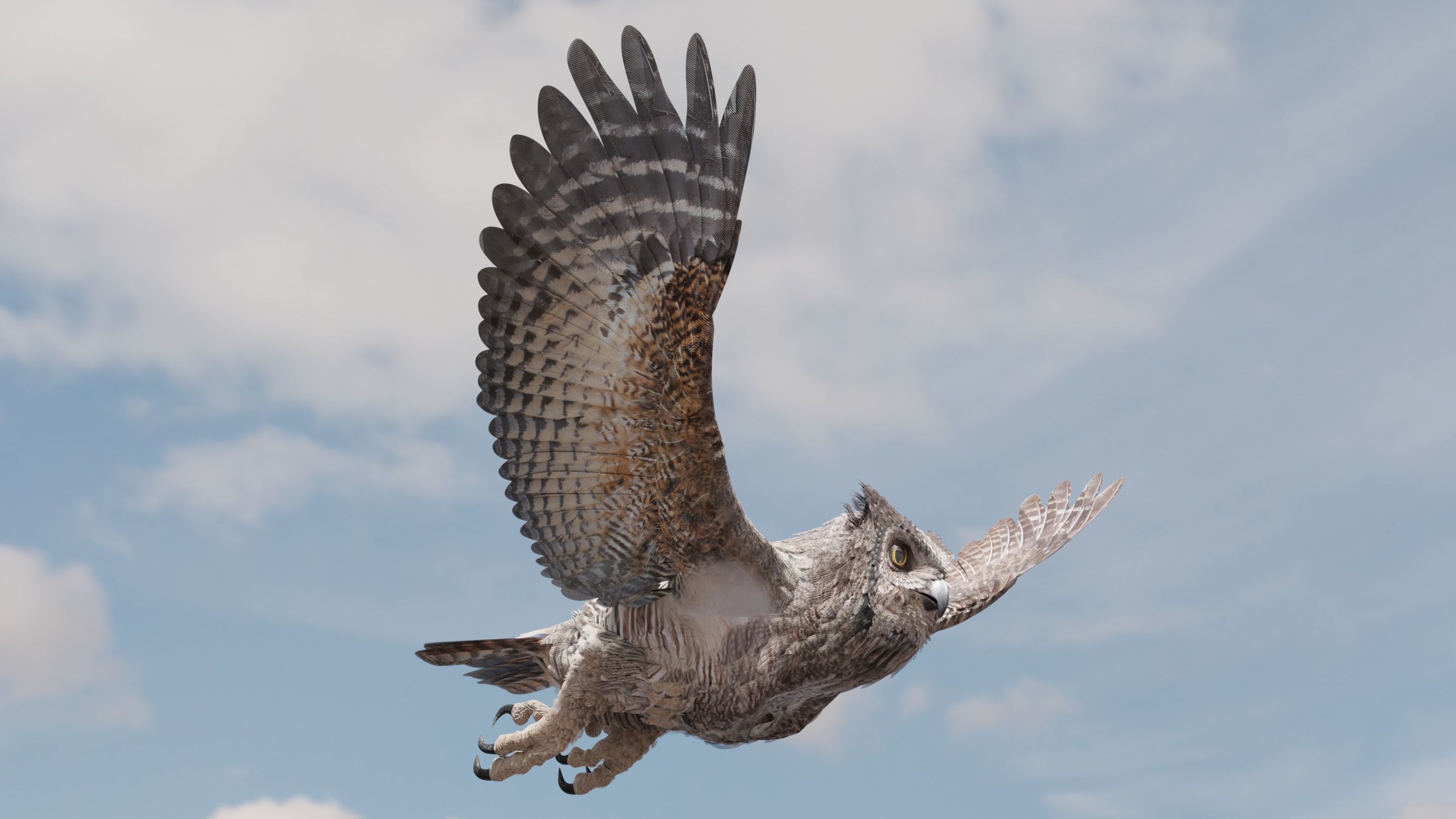 Great Horned Owl - Blender Low-poly 3D model_23