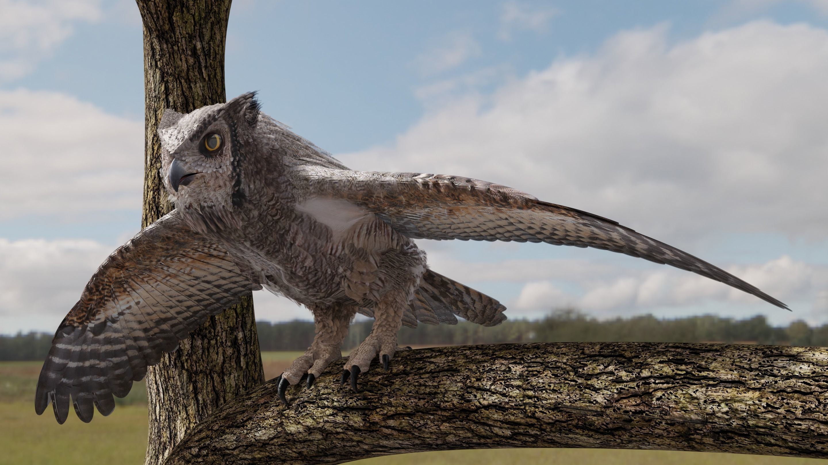Great Horned Owl - Blender Low-poly 3D model_15
