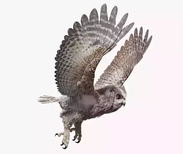 Great Horned Owl - Blender Low-poly 3D model