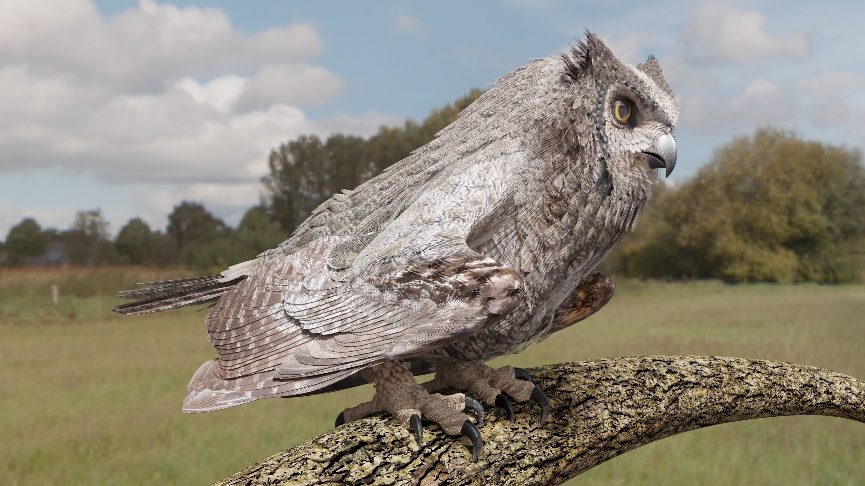 Great Horned Owl - Blender Low-poly 3D model_11