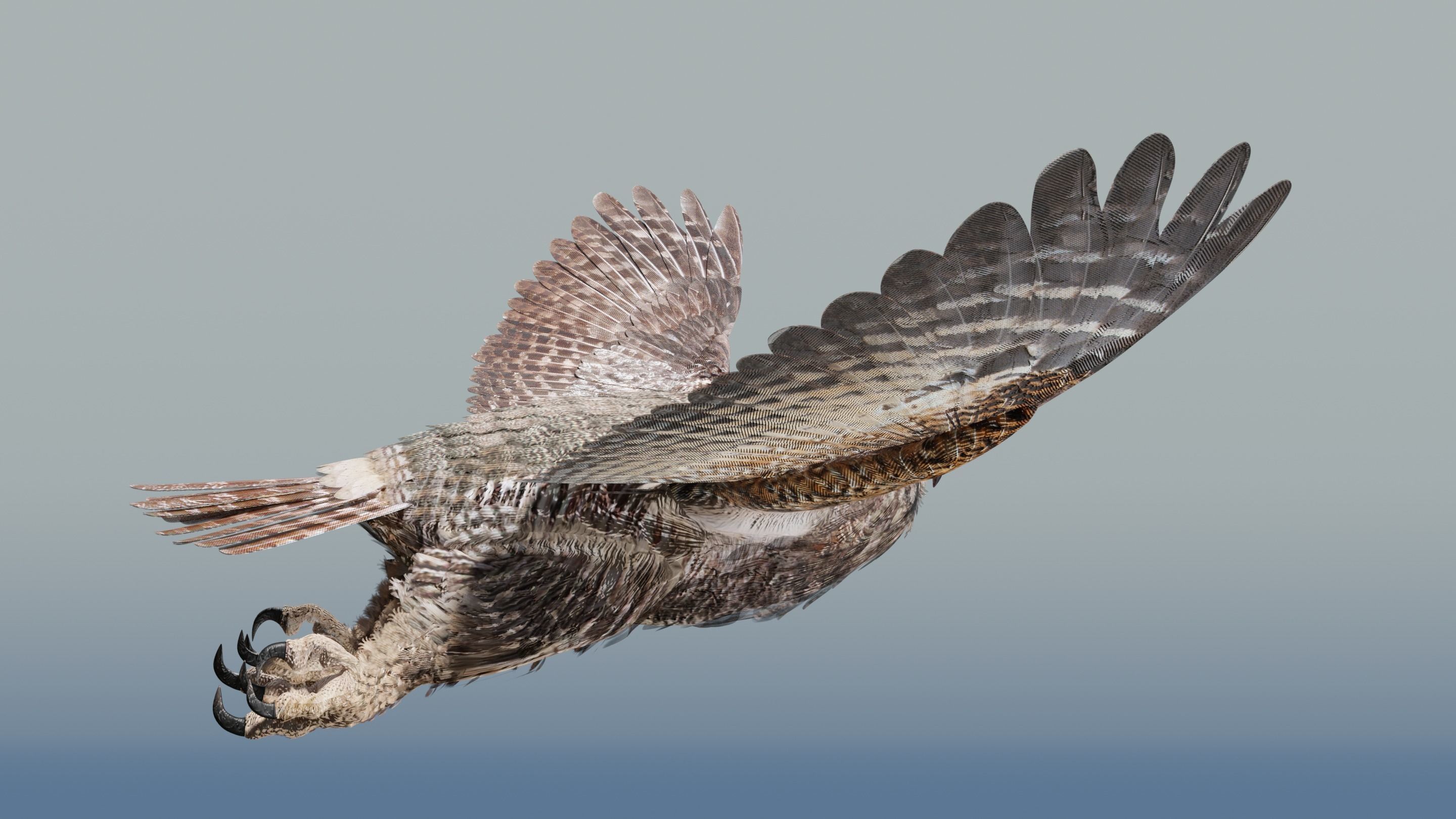 Great Horned Owl - Blender Low-poly 3D model_31