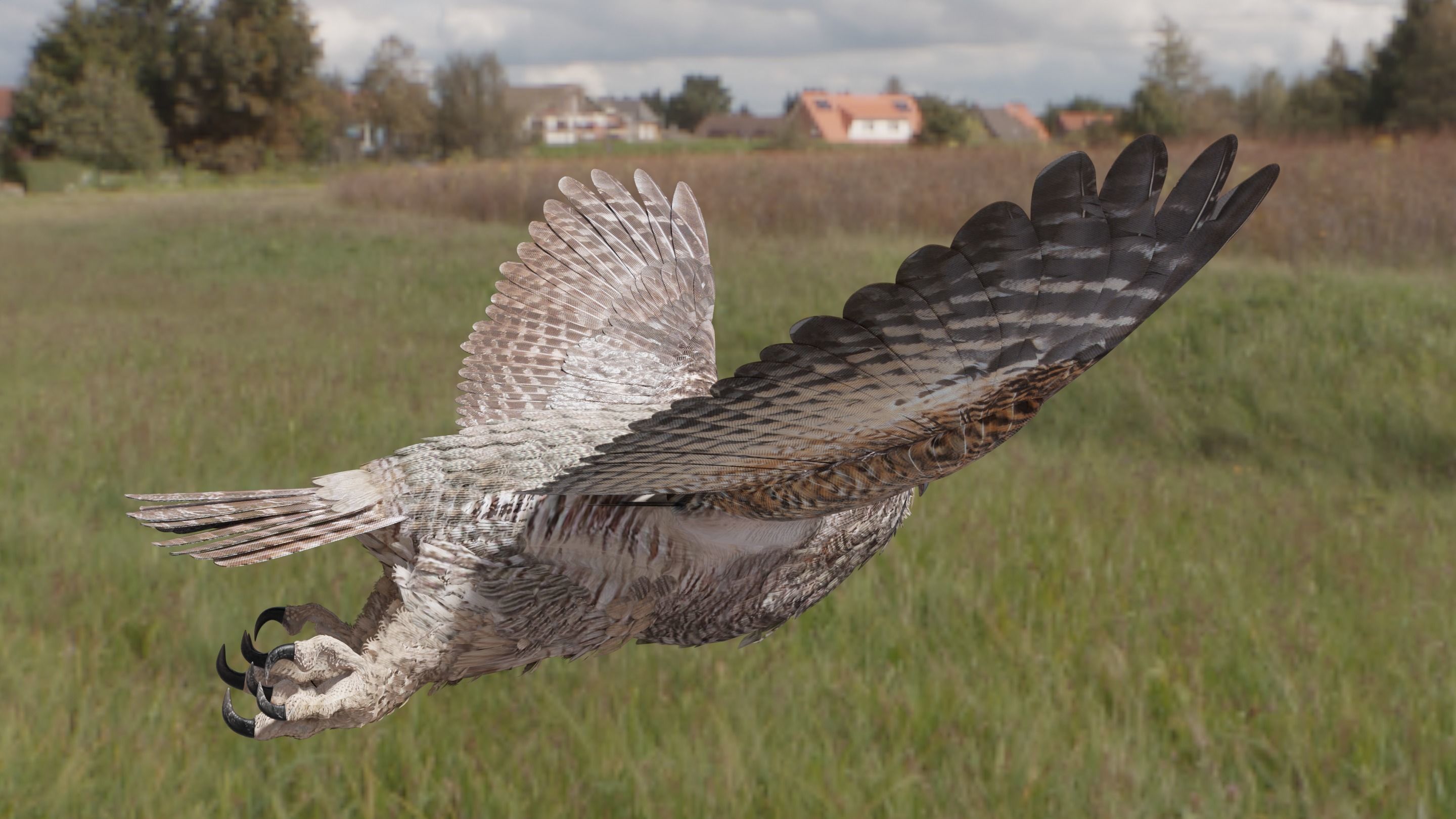 Great Horned Owl - Blender Low-poly 3D model_9