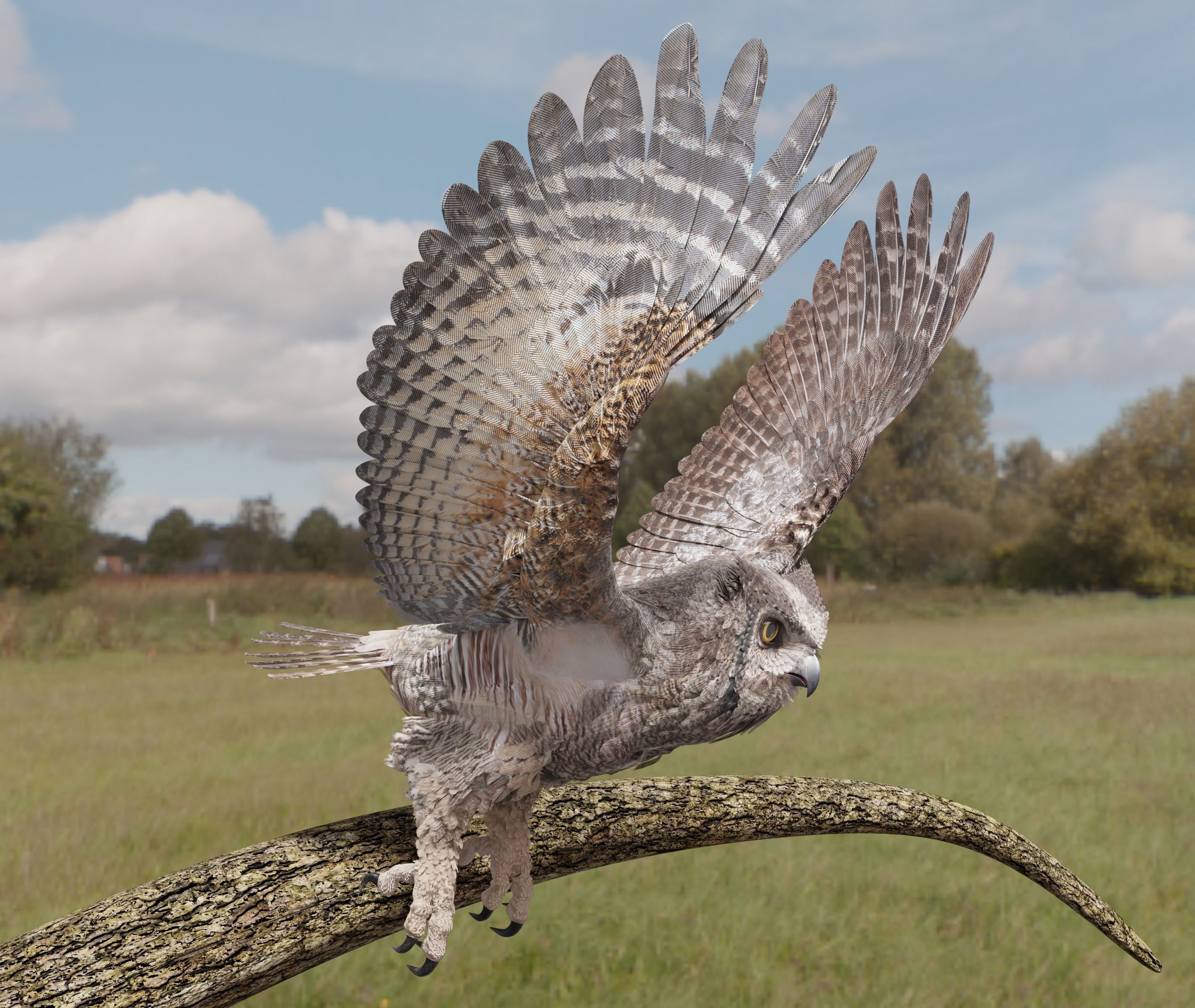 Great Horned Owl - Blender Low-poly 3D model_7