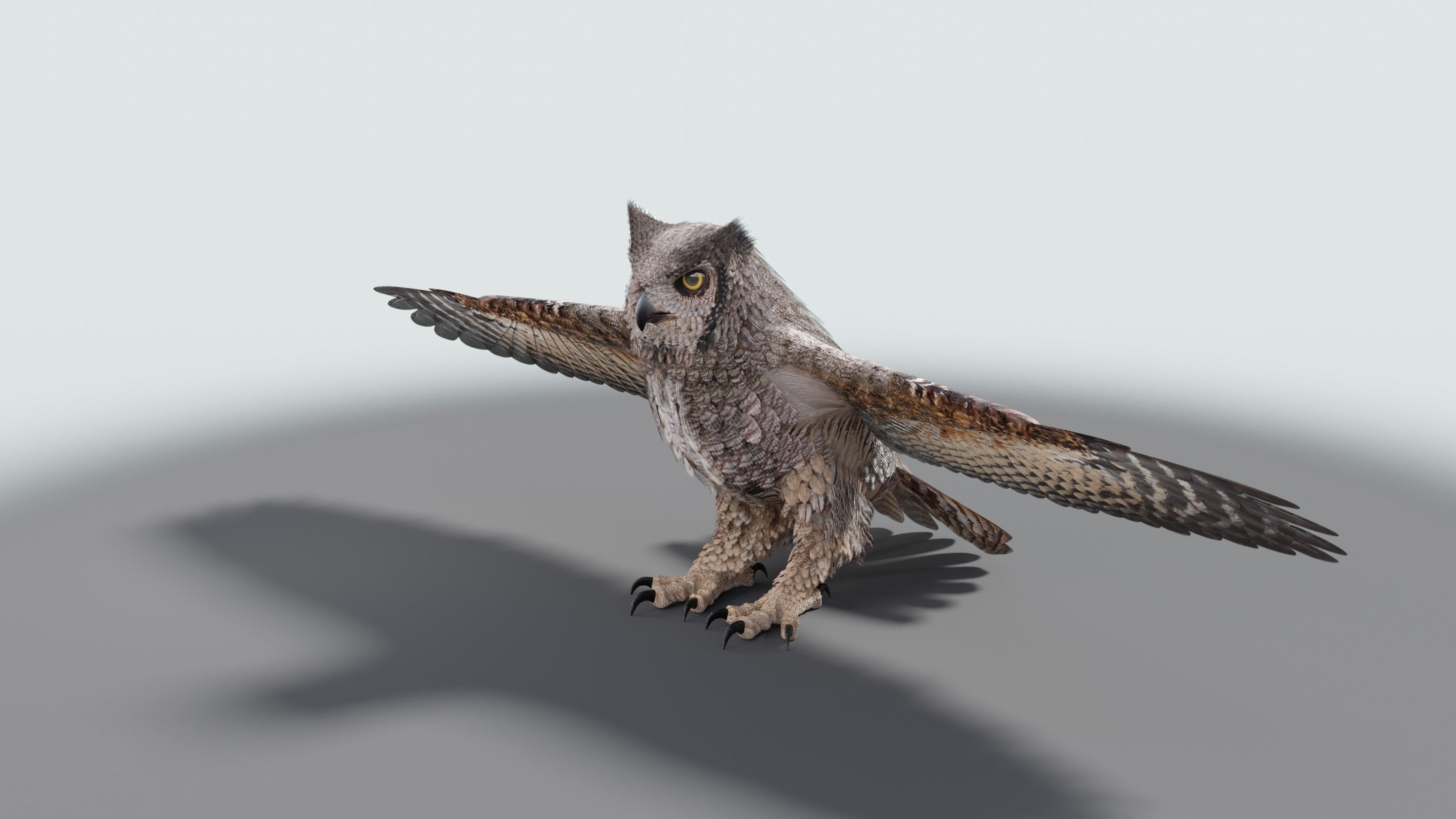 Great Horned Owl - Blender Low-poly 3D model_38