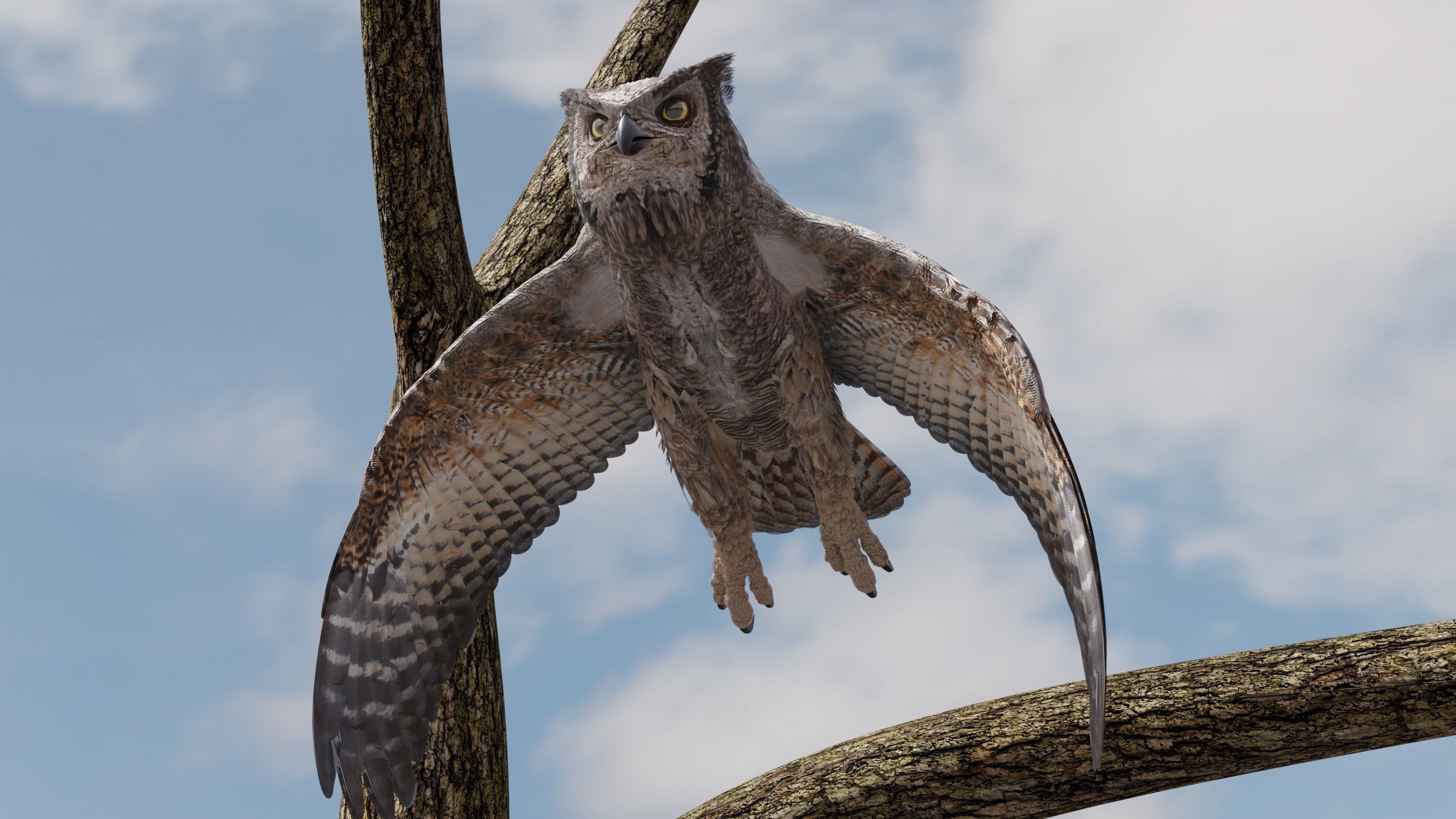 Great Horned Owl - Blender Low-poly 3D model_21