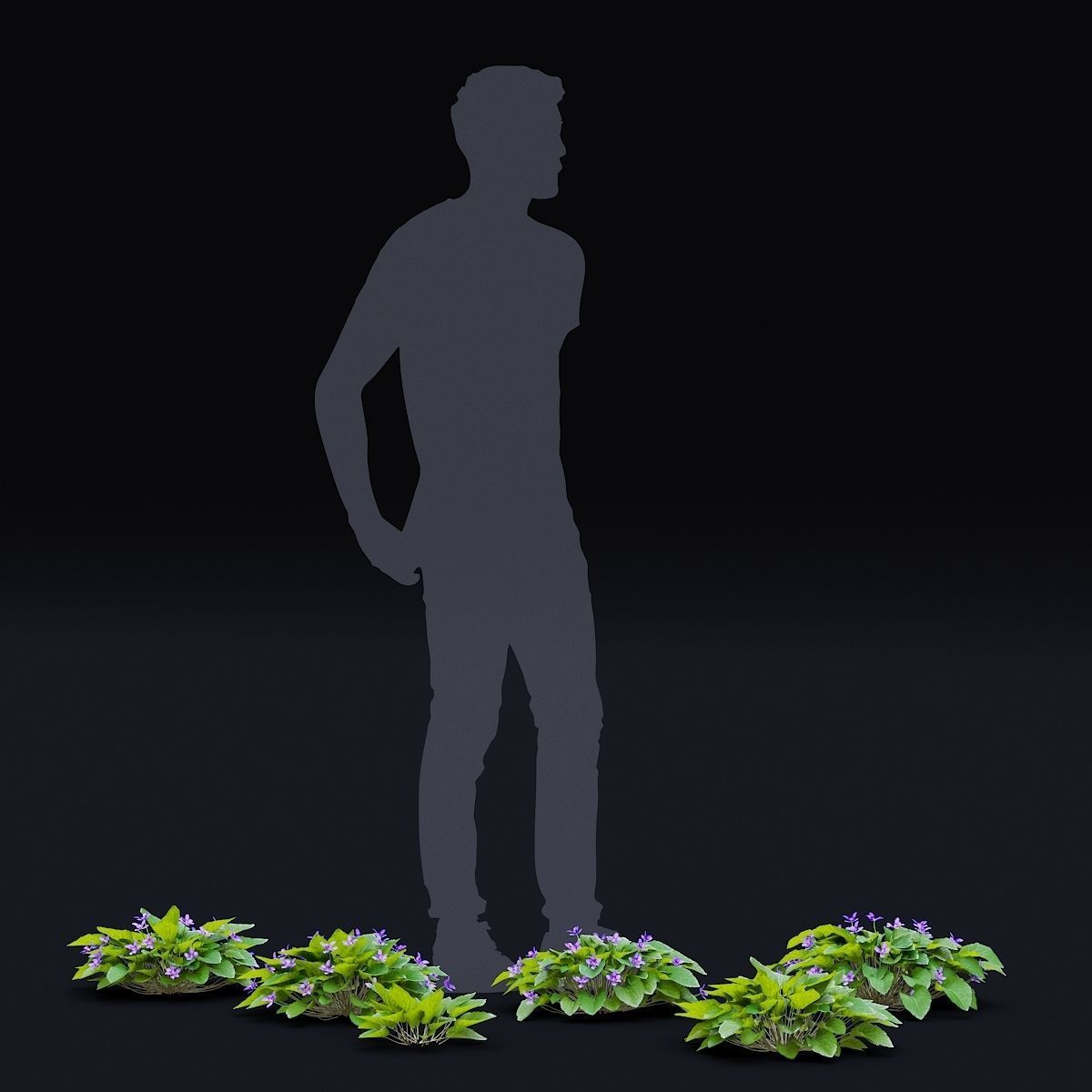 Viola odorta flower 3D model_4