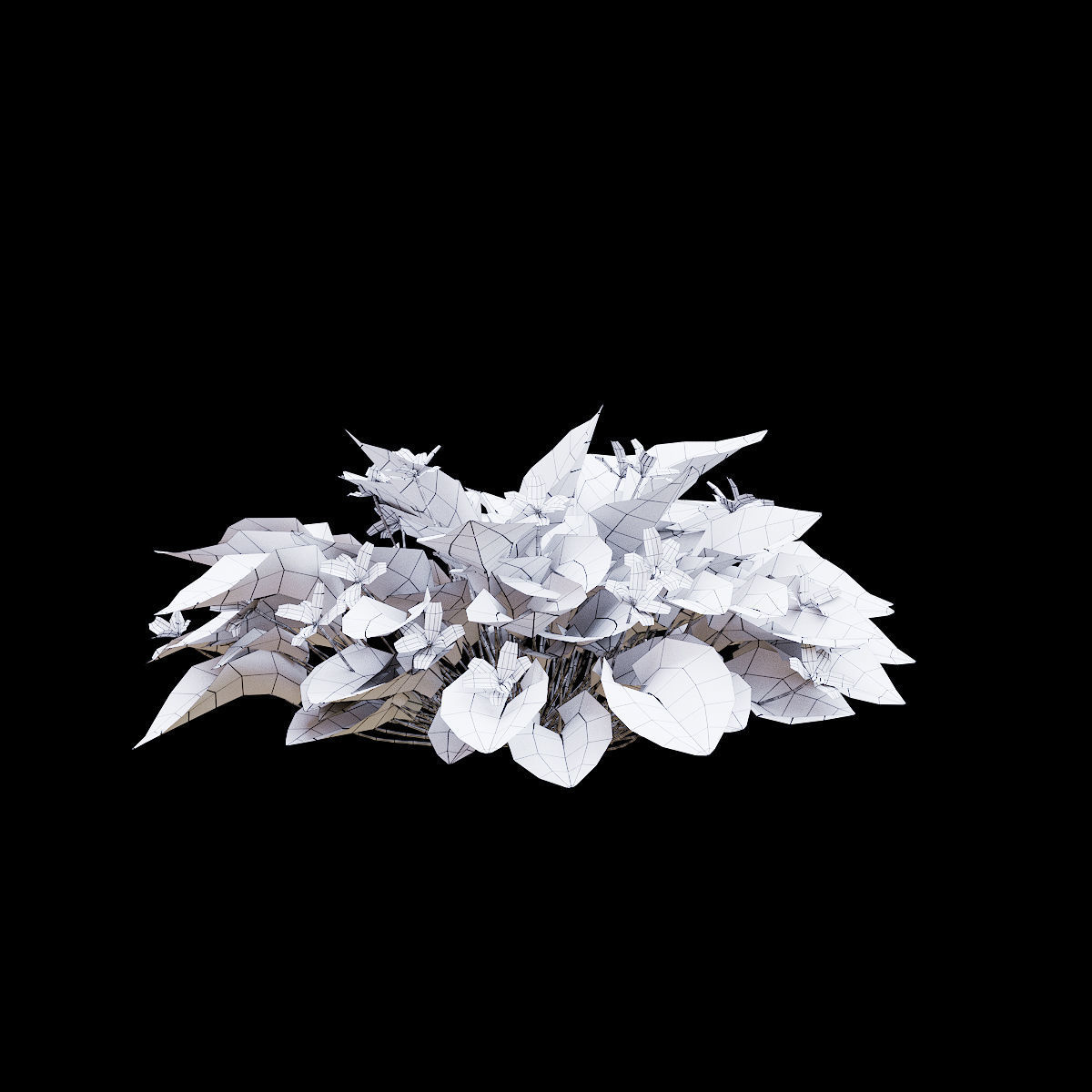 Viola odorta flower 3D model_9