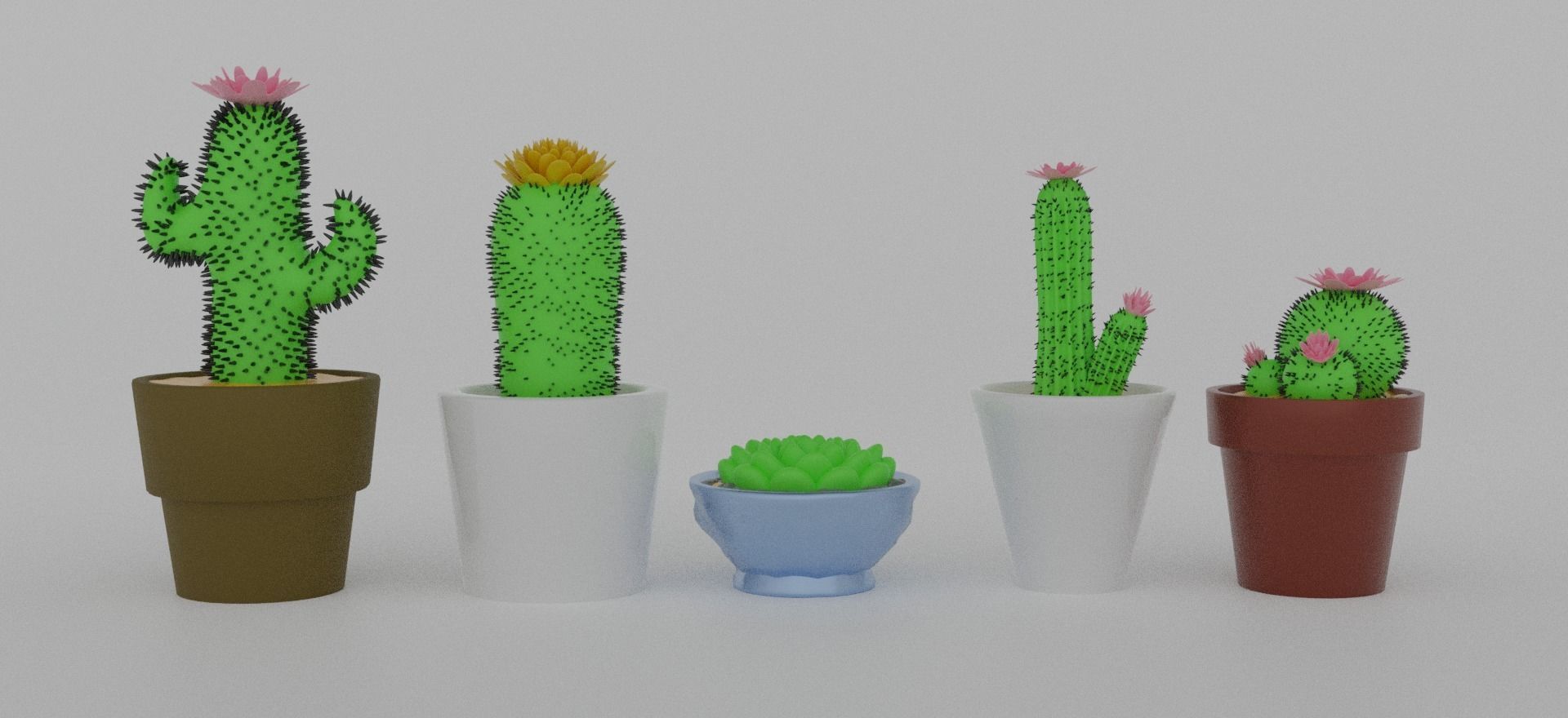 Cacti for video games 3D model_2