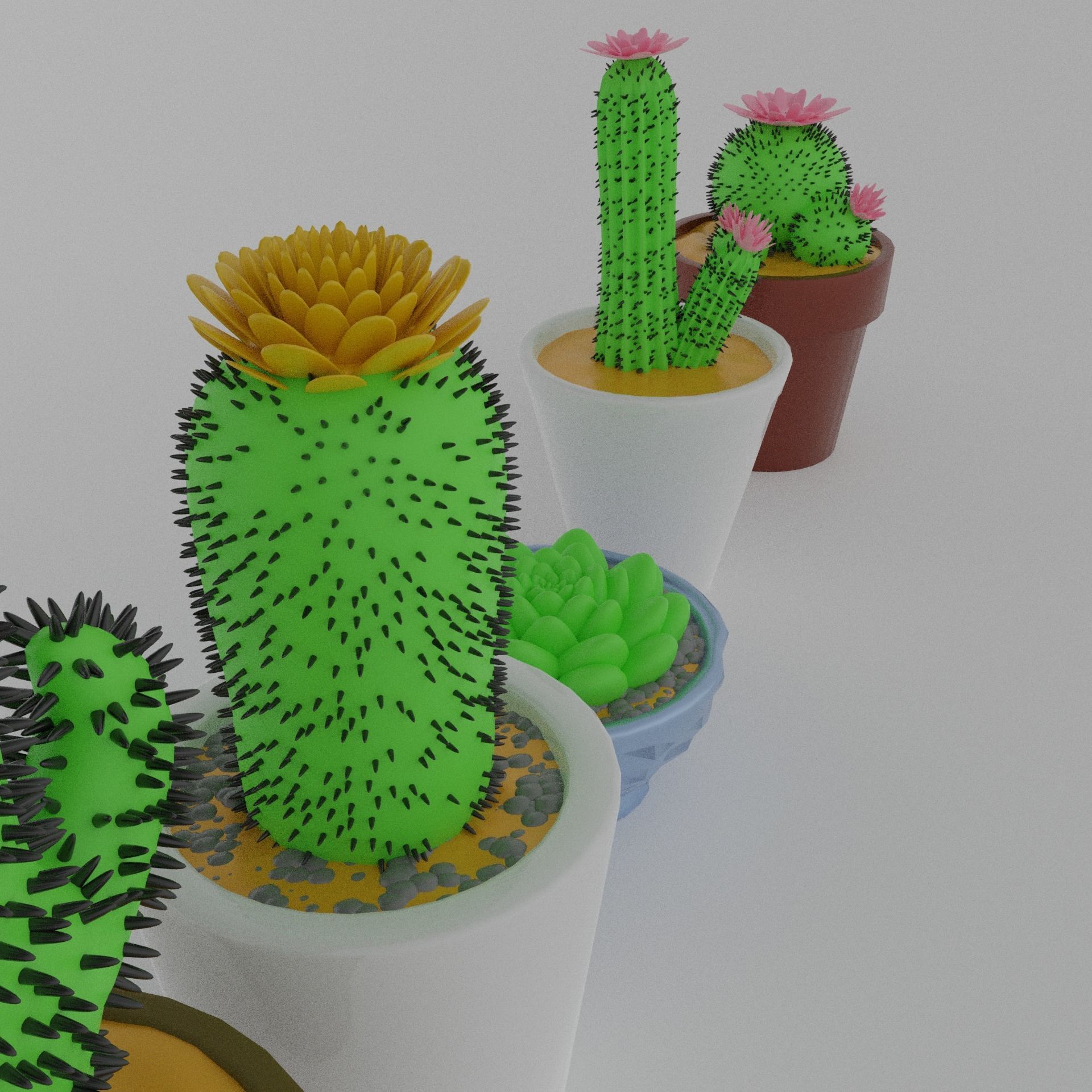 Cacti for video games 3D model_3