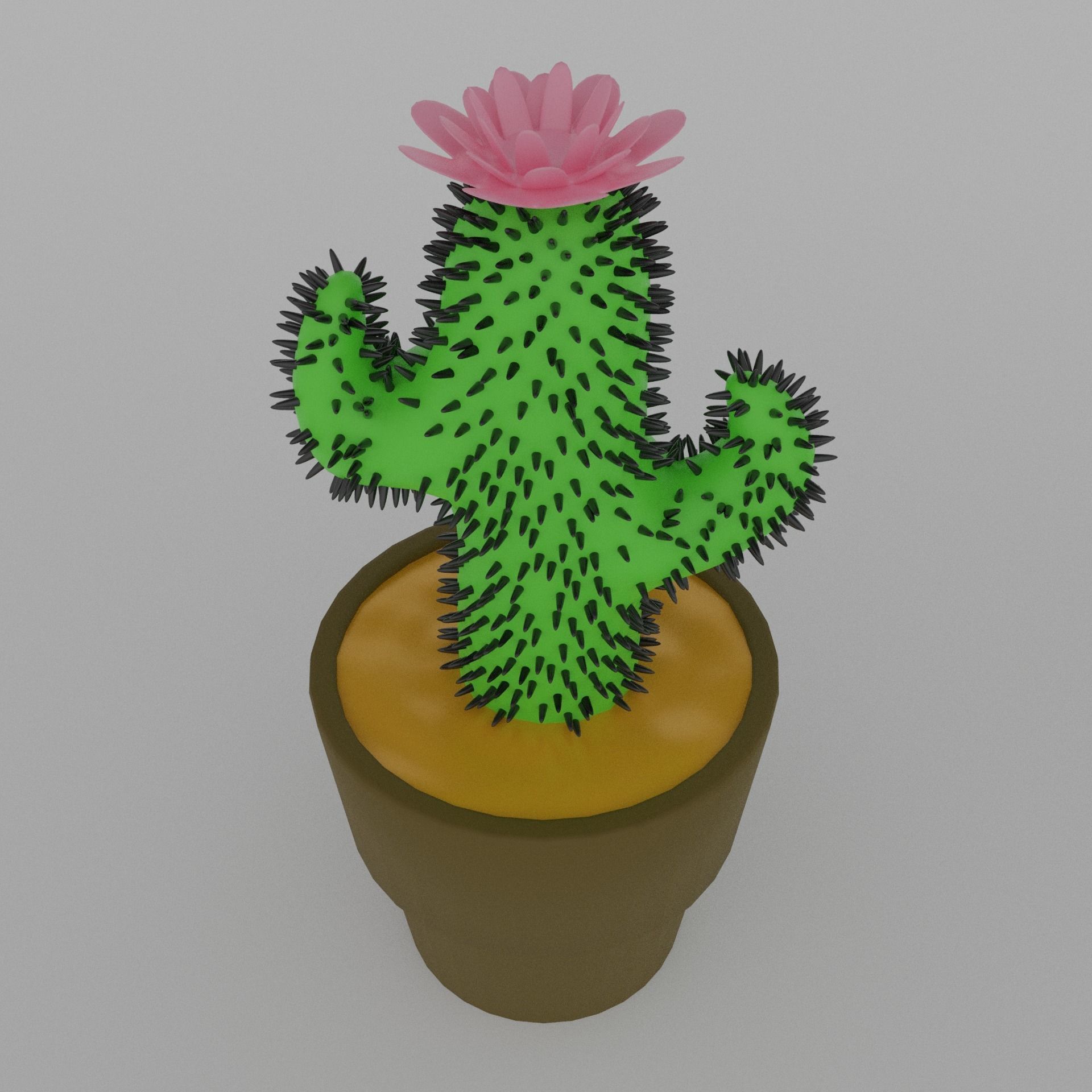 Cacti for video games 3D model_4