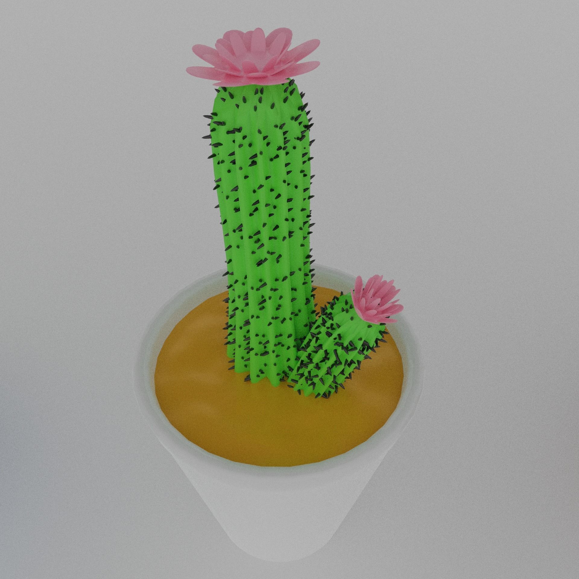 Cacti for video games 3D model_7