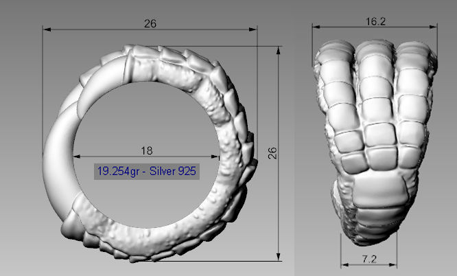 Crows foot ring 3d model for 3d printing 3D print model 3D print model_12