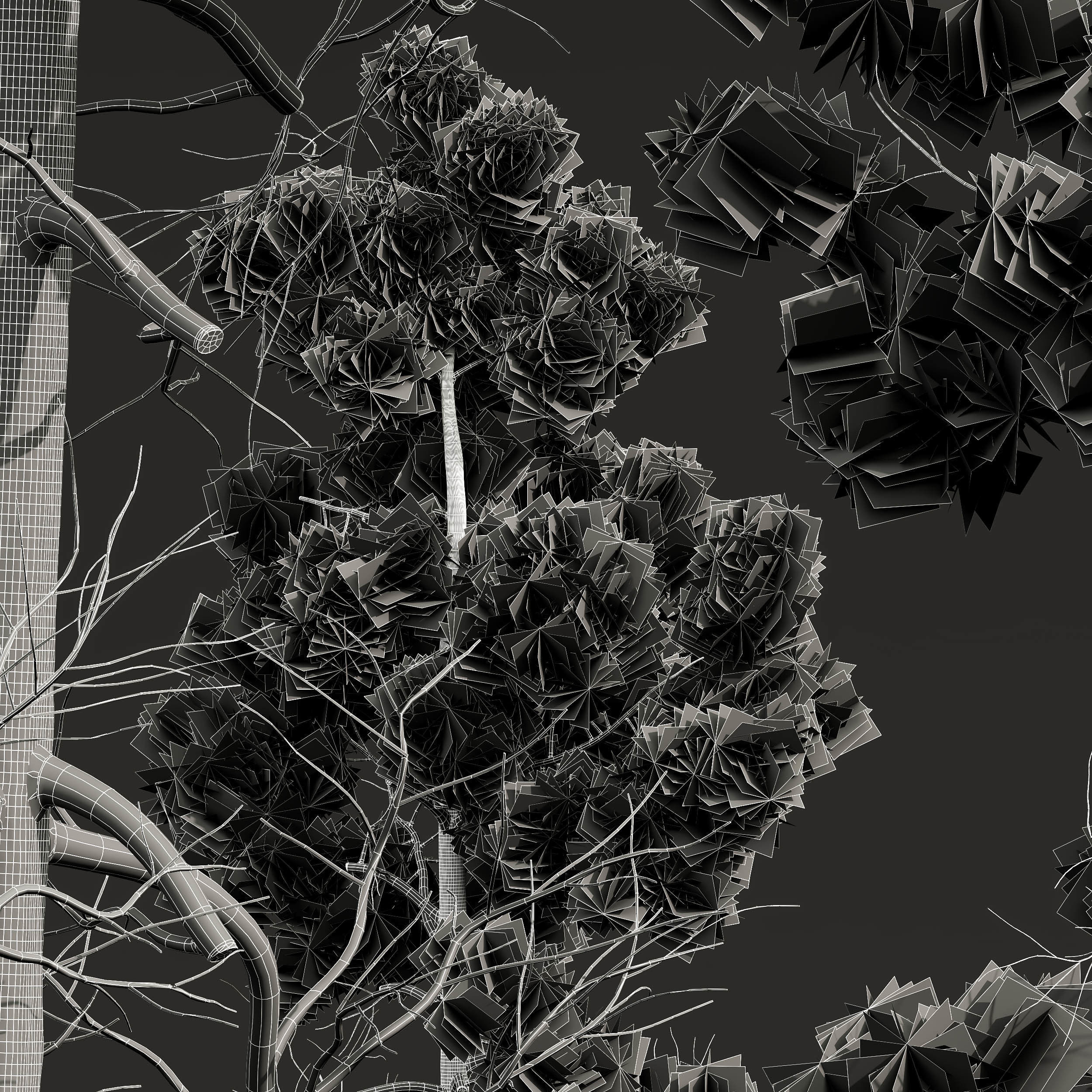 Pinus Palustris Sphaeropteris Lepifera Pinus Engelmannii 3D model_5