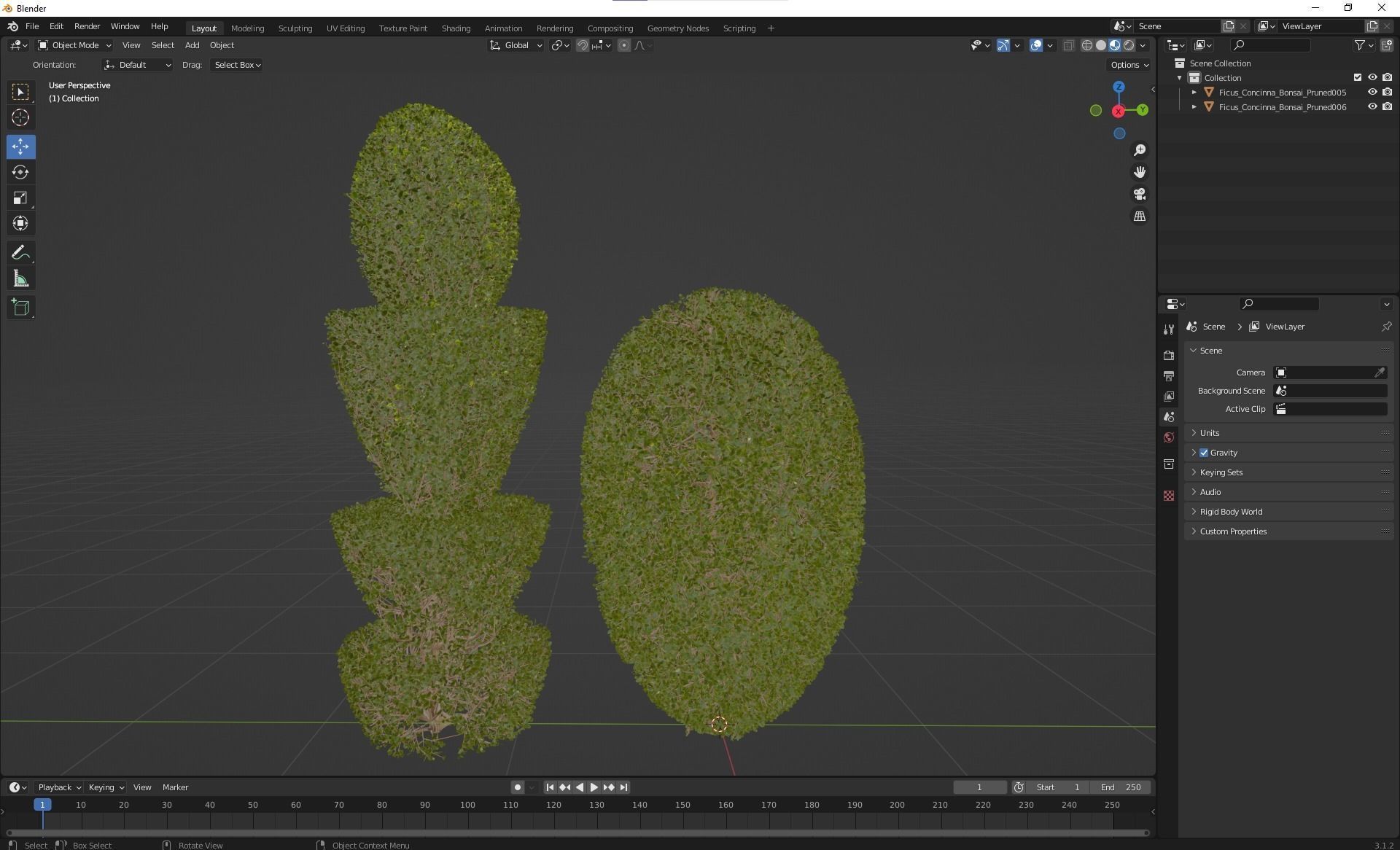 New Plant Ficus Concinna Bonsai Pruned04 3D model_5