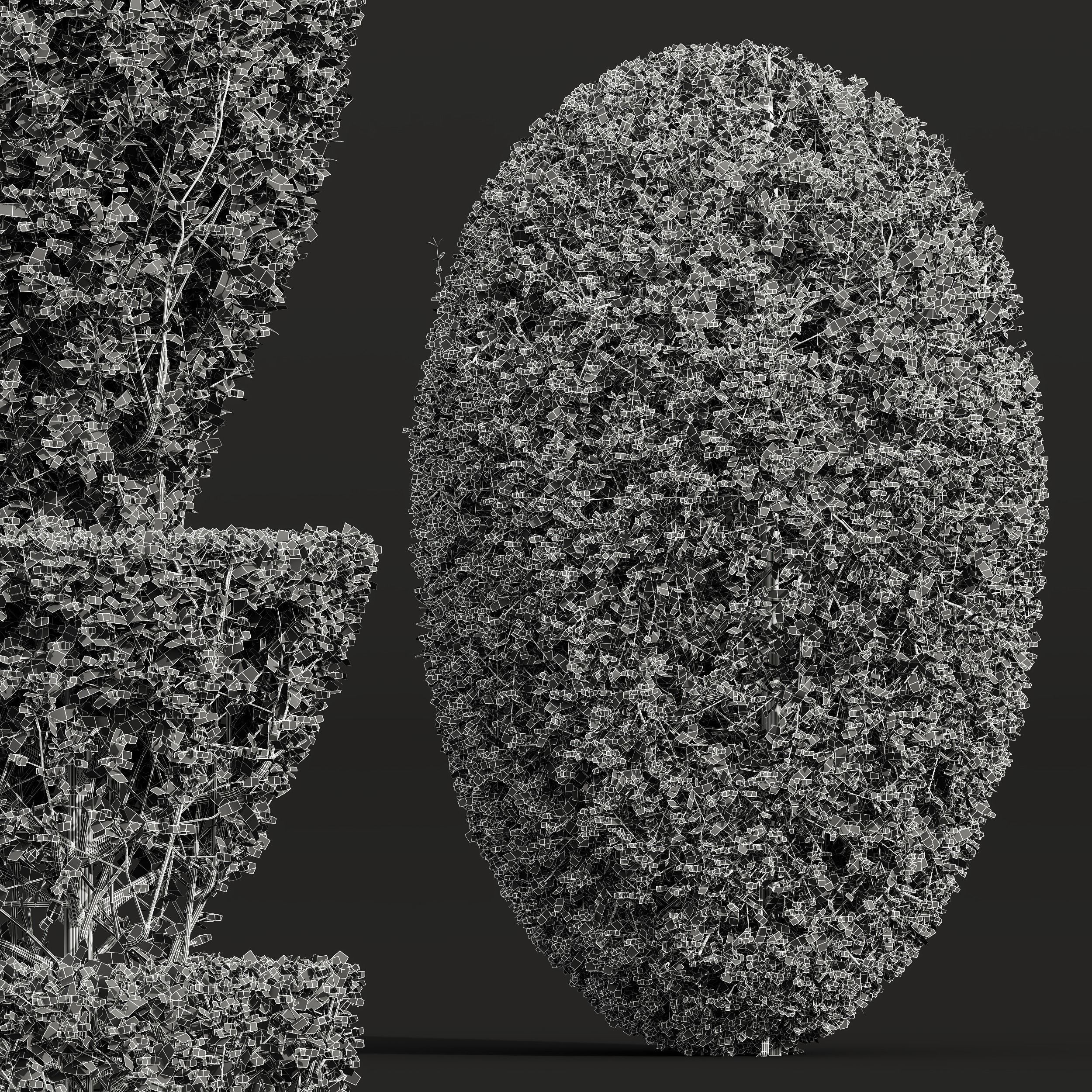 New Plant Ficus Concinna Bonsai Pruned04 3D model_4